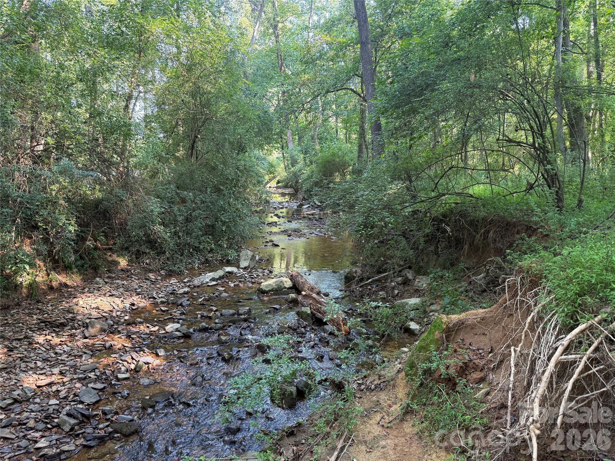 Tbd Sincerity Road Property Photo 8