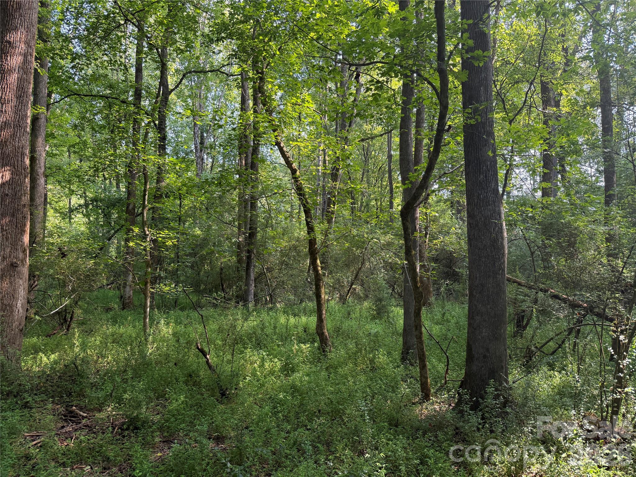 Tbd Sincerity Road Property Photo 9