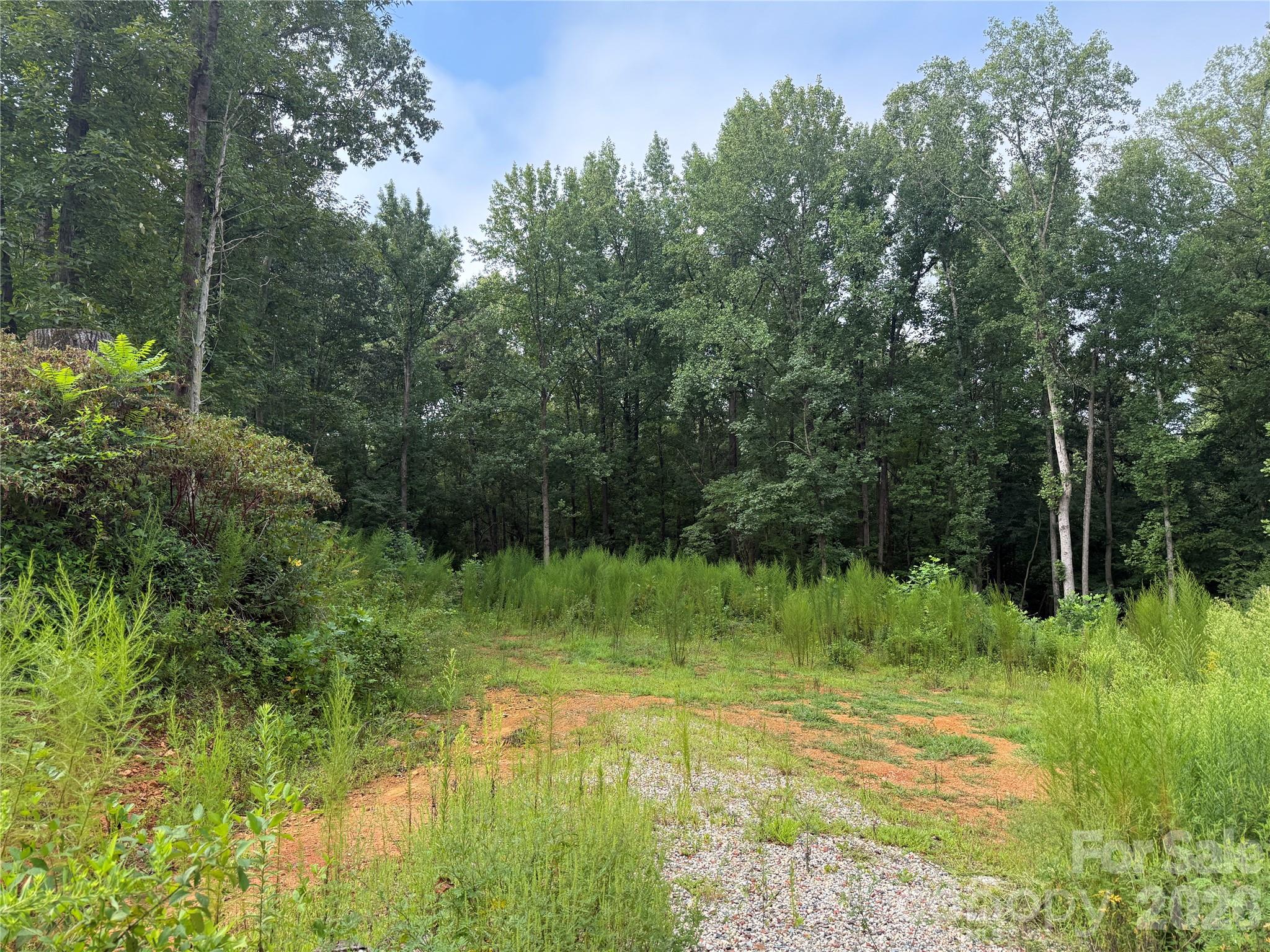Tbd Sincerity Road Property Photo 10