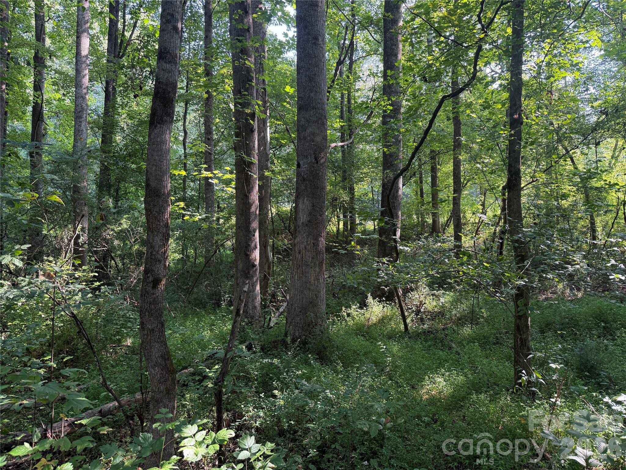 Tbd Sincerity Road Property Photo 12