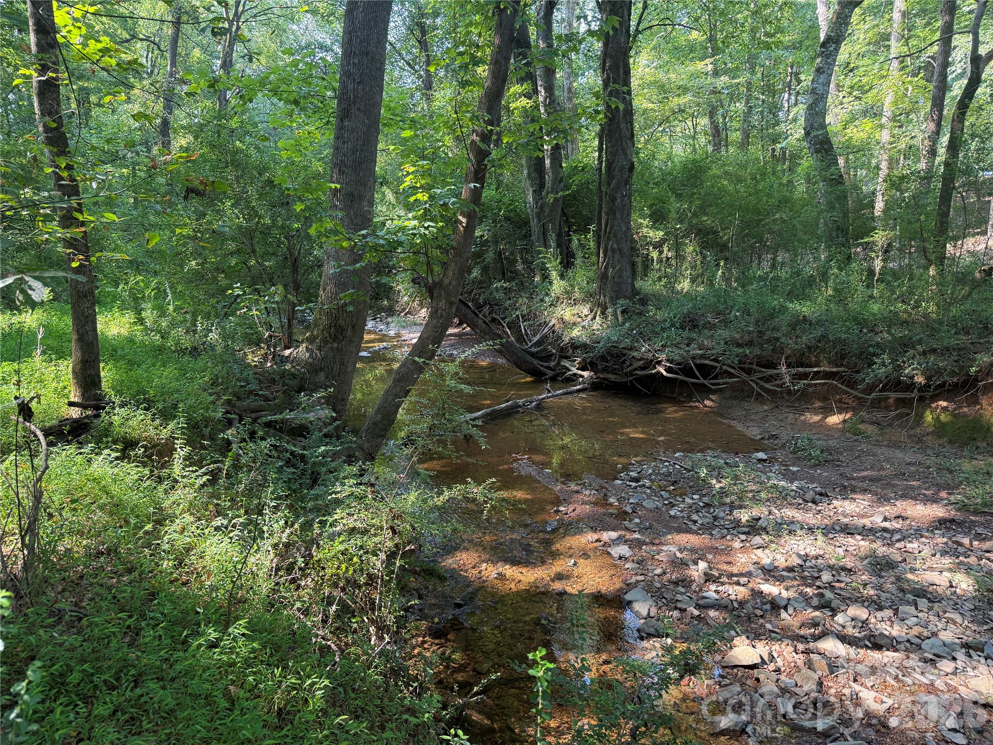 Tbd Sincerity Road Property Photo 13