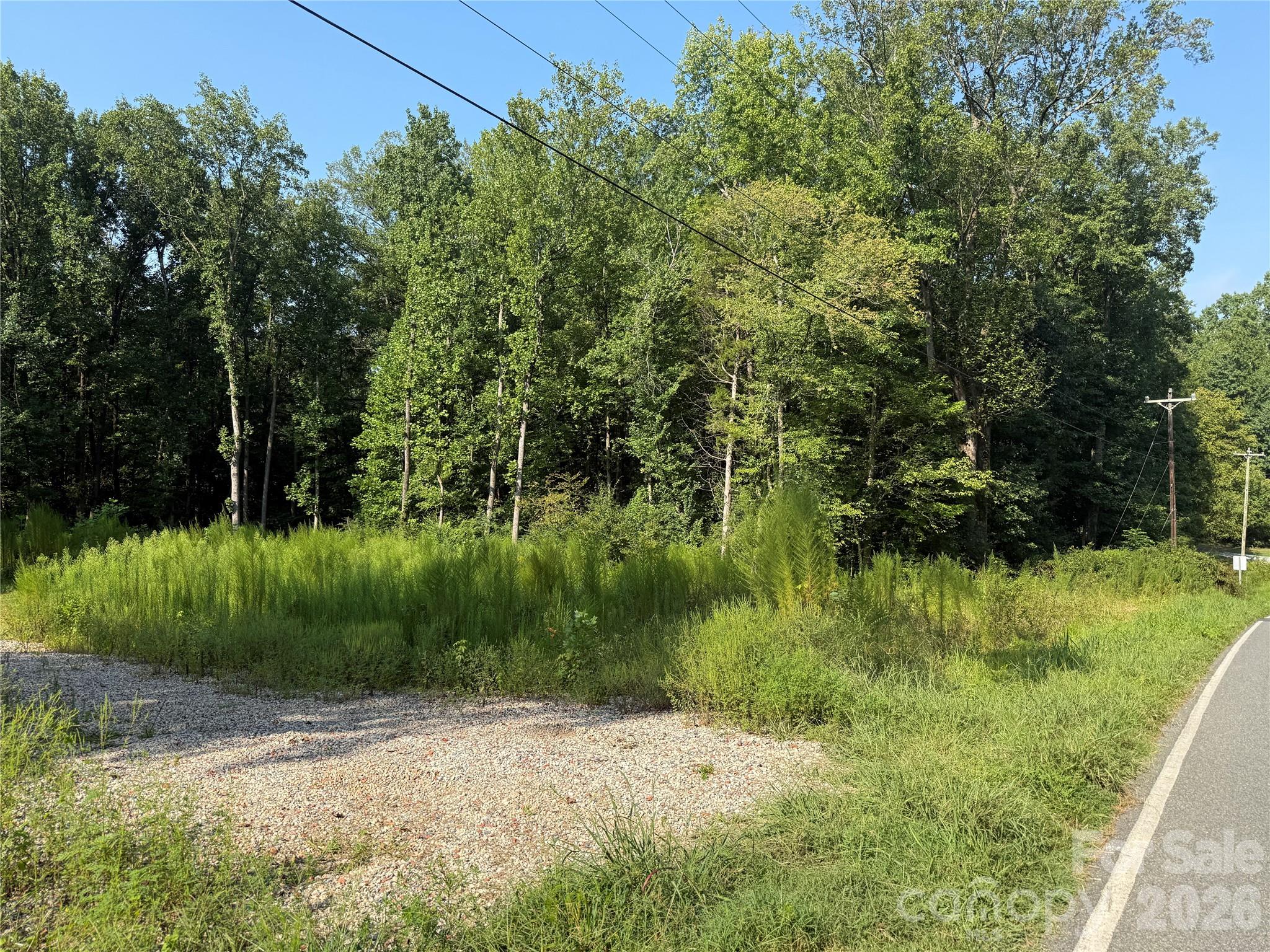Tbd Sincerity Road Property Photo 15