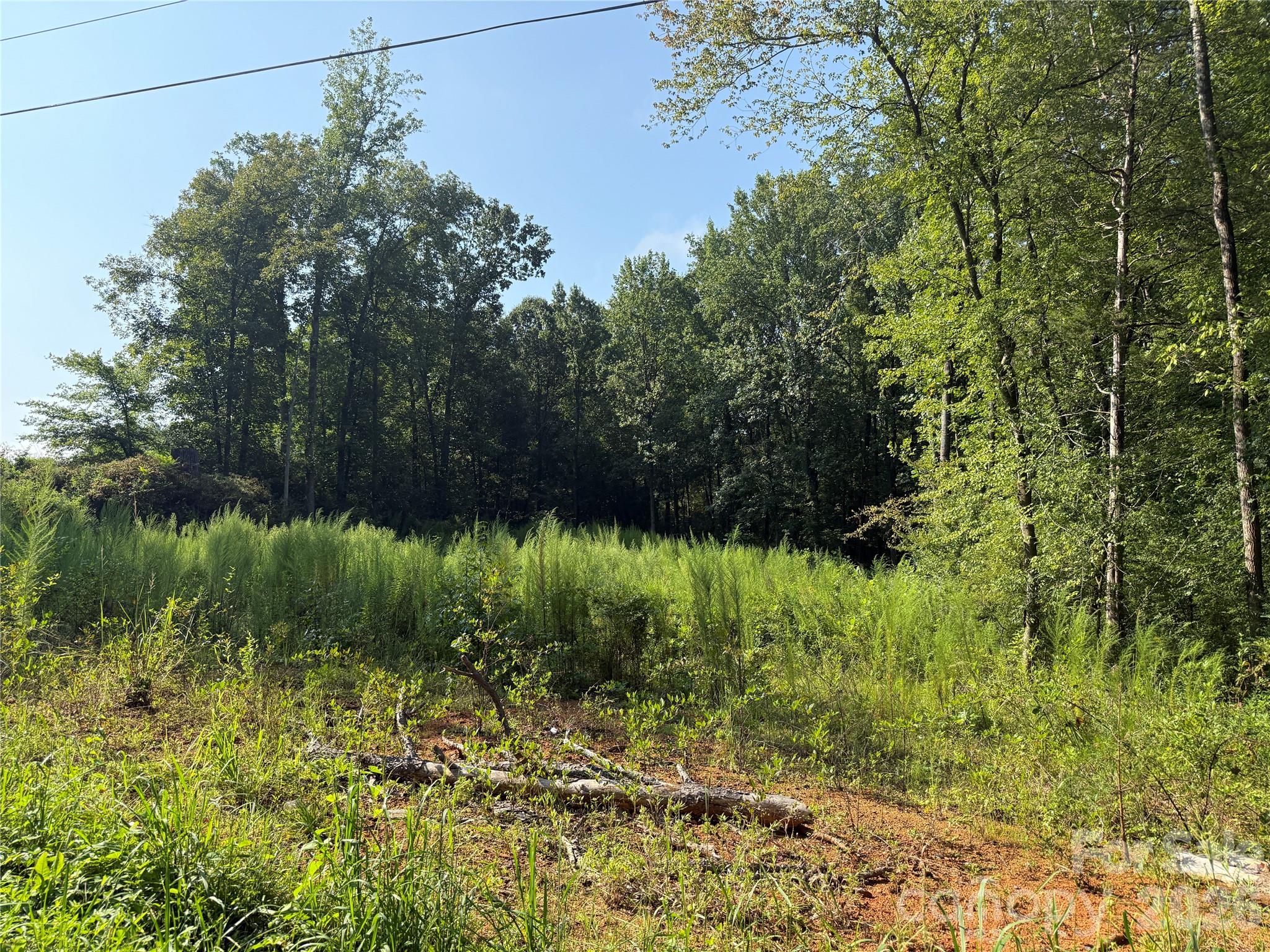 Tbd Sincerity Road Property Photo 16