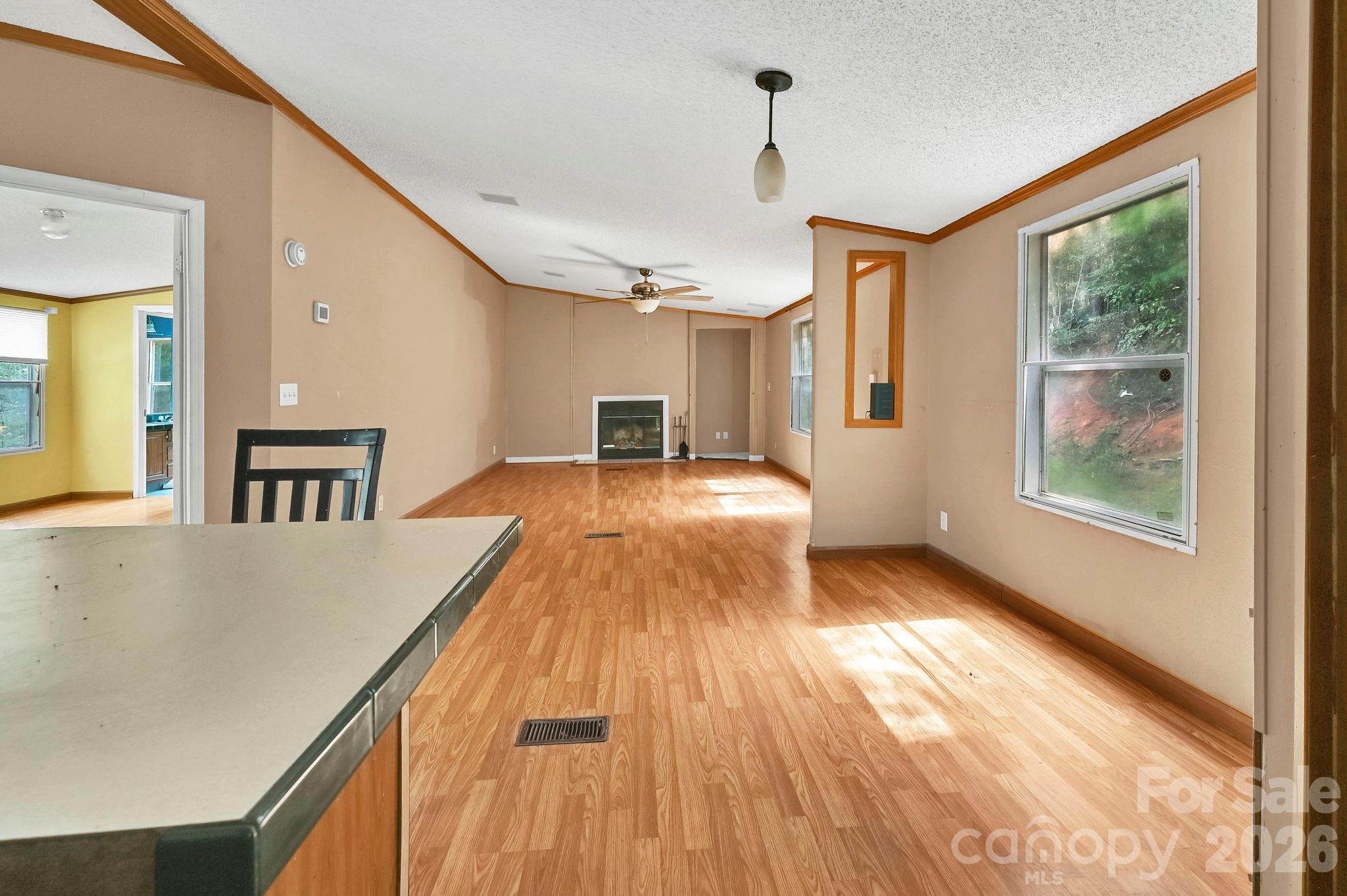 3421 & 3423 Rector Corner Road Property Photo 47