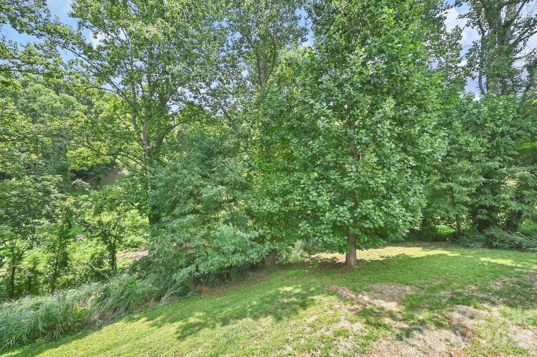 157 Scarlett Ridge Drive Property Photo 45