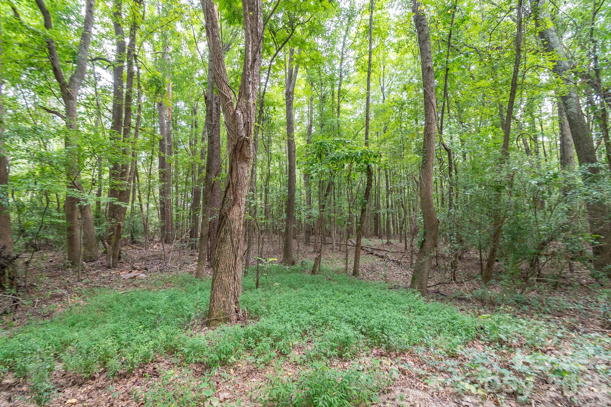 0 Bigham Road Property Photo 18
