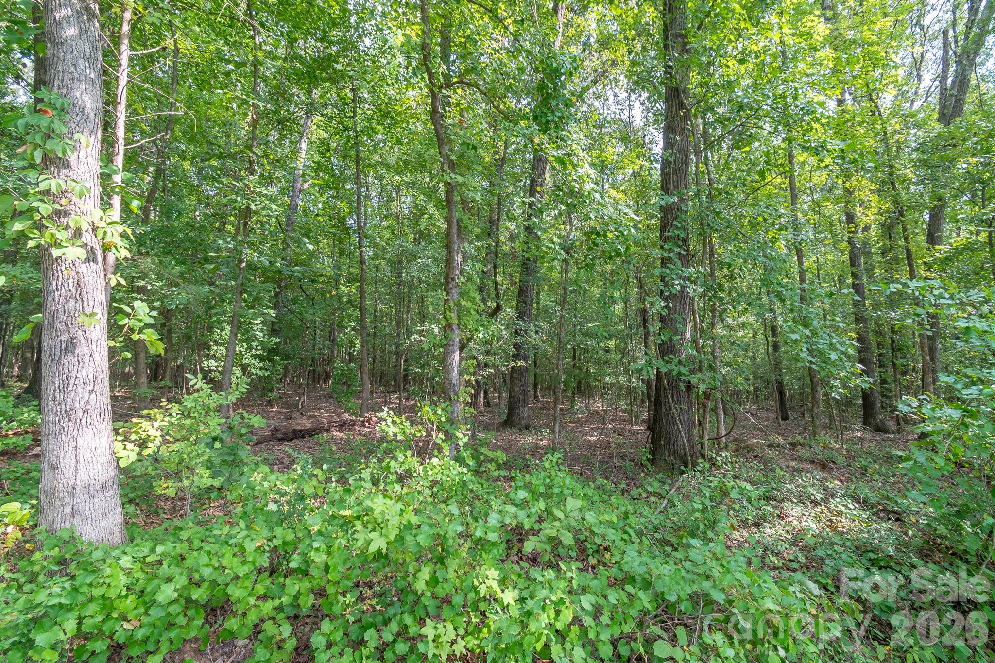 0 Bigham Road Property Photo 20