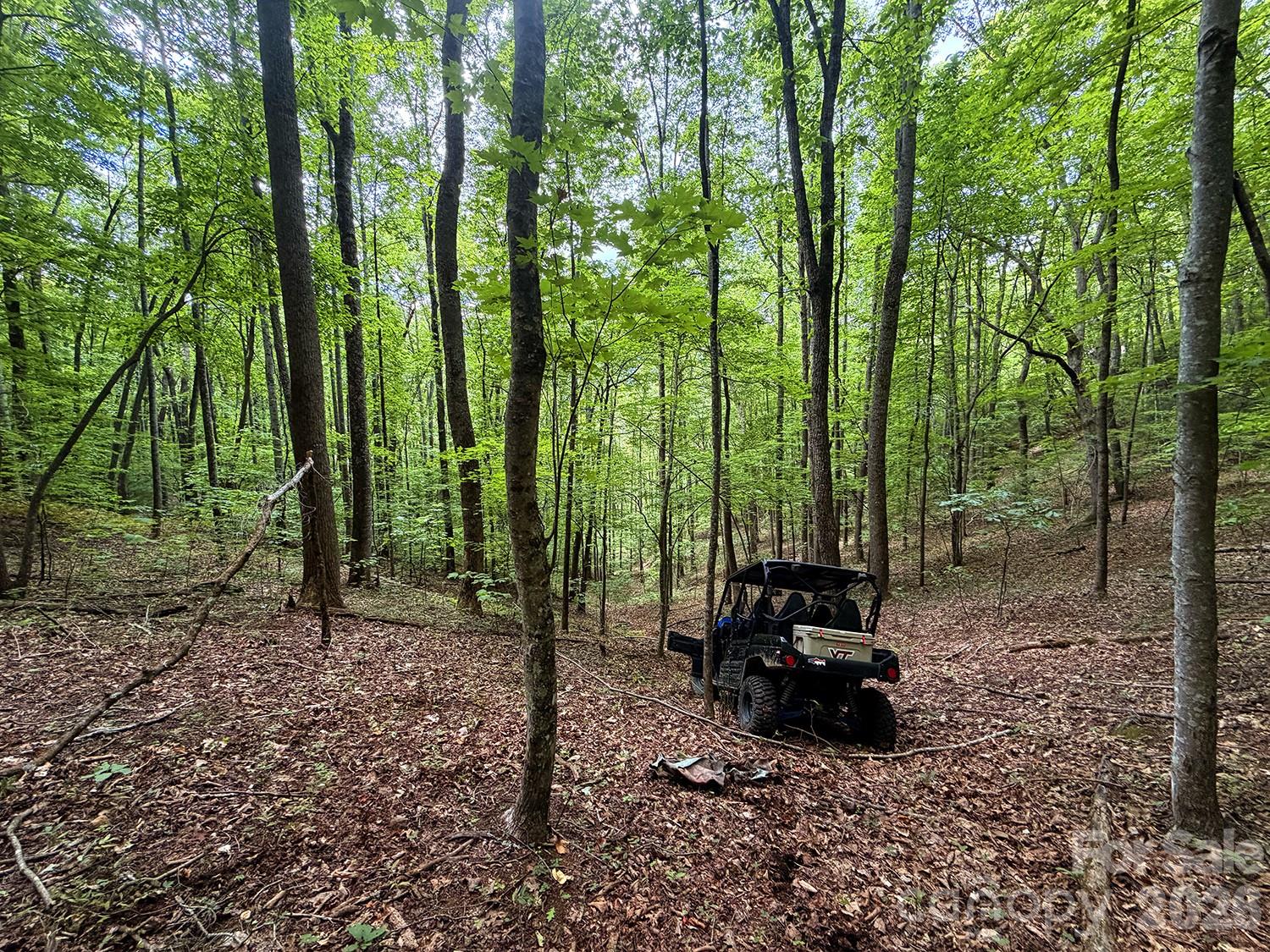 7777 Saw Branch Road Property Photo 1