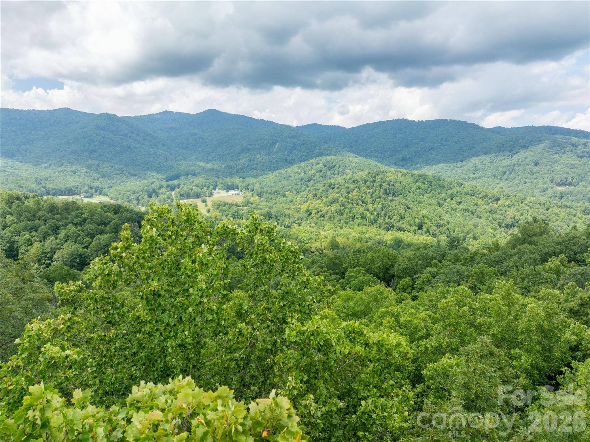 7777 Saw Branch Road Property Photo 4