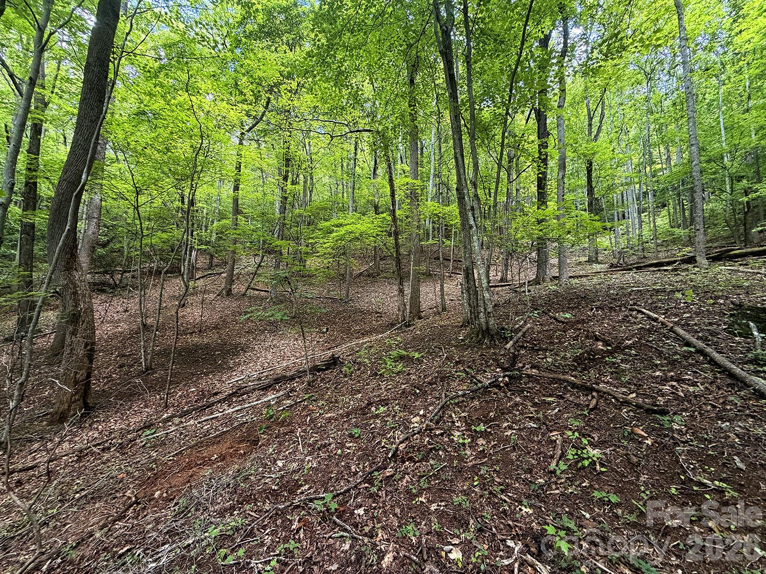 7777 Saw Branch Road Property Photo 6