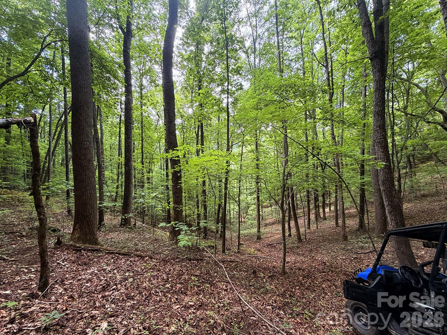 7777 Saw Branch Road Property Photo 7