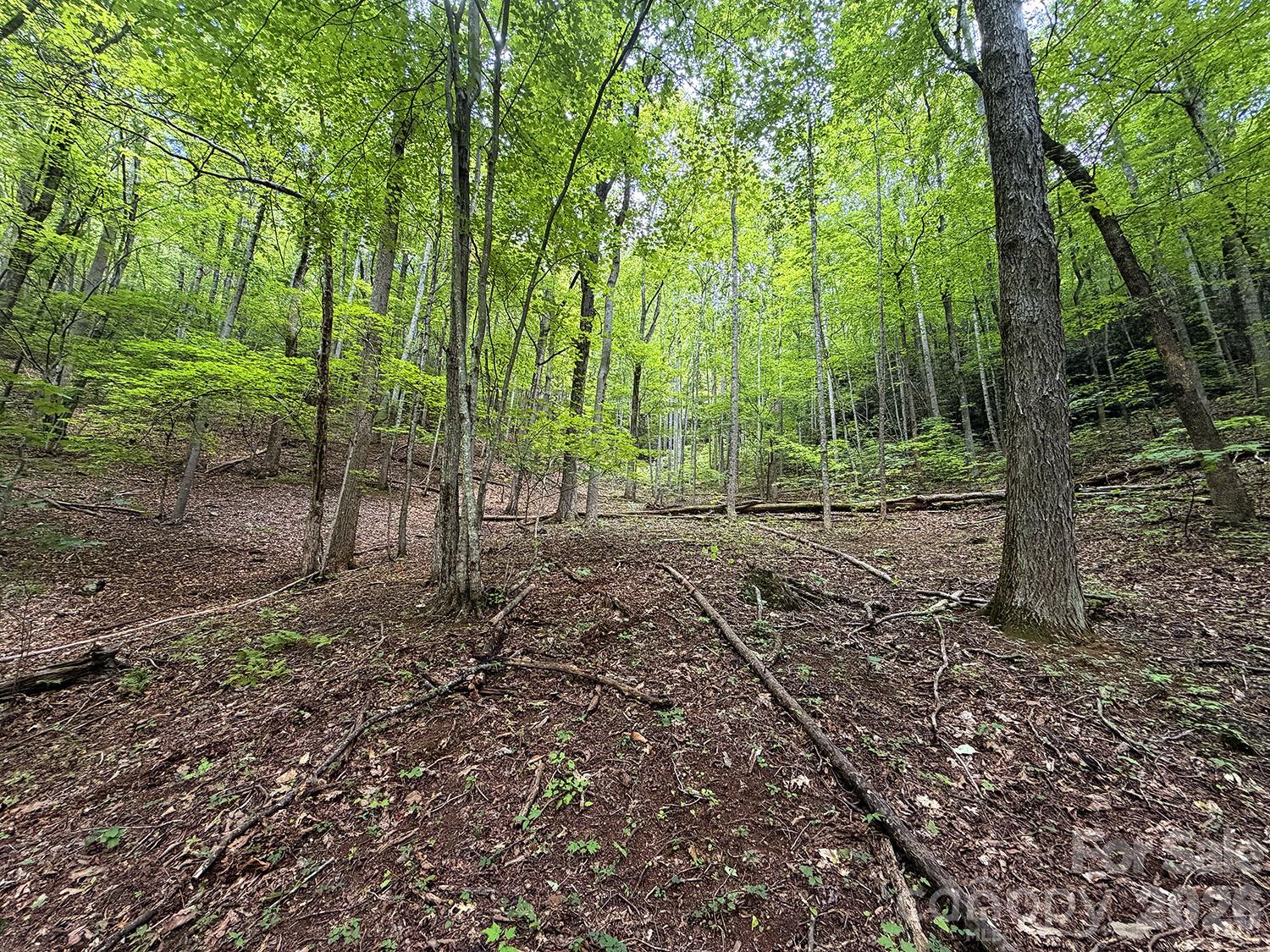 7777 Saw Branch Road Property Photo 8