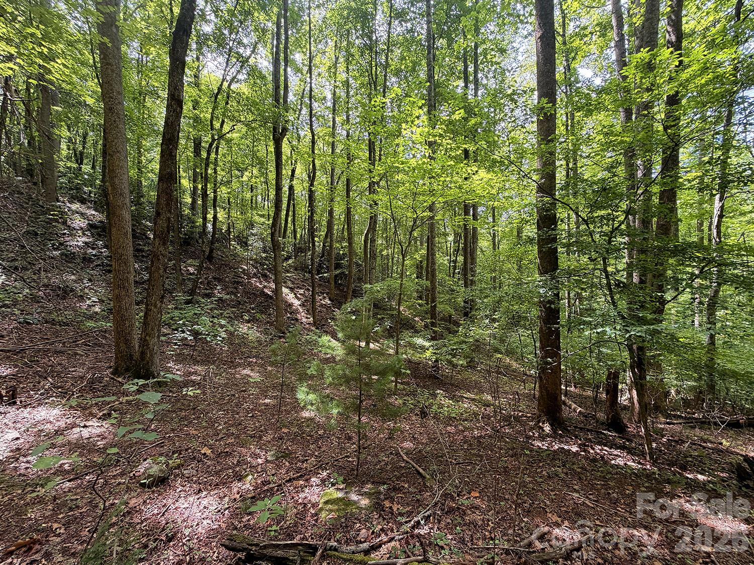 7777 Saw Branch Road Property Photo 10