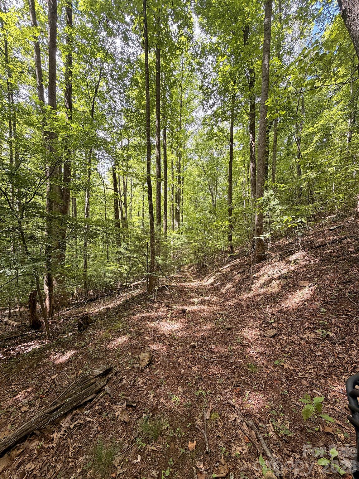7777 Saw Branch Road Property Photo 11