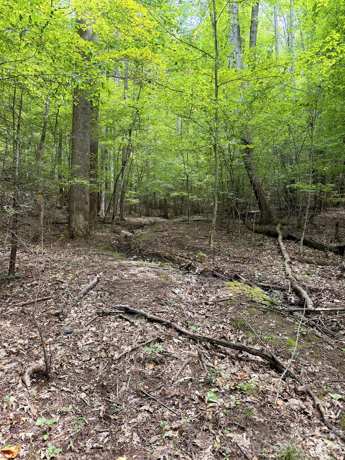 7777 Saw Branch Road Property Photo 13