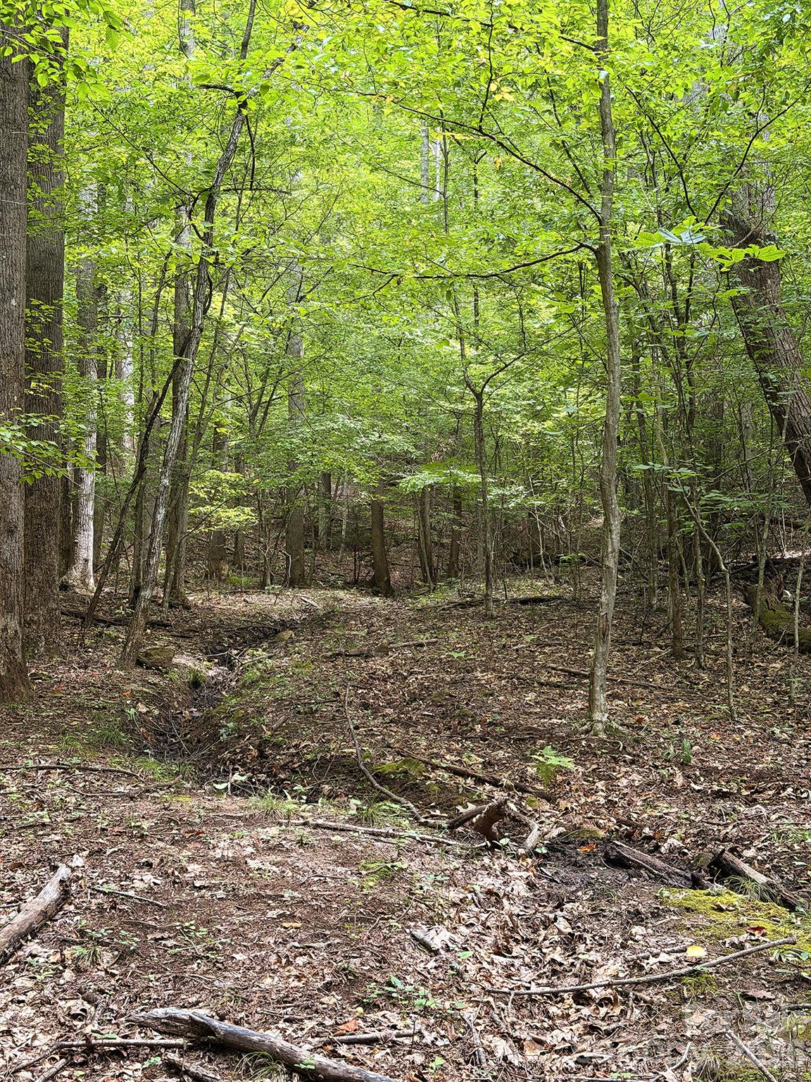 7777 Saw Branch Road Property Photo 14