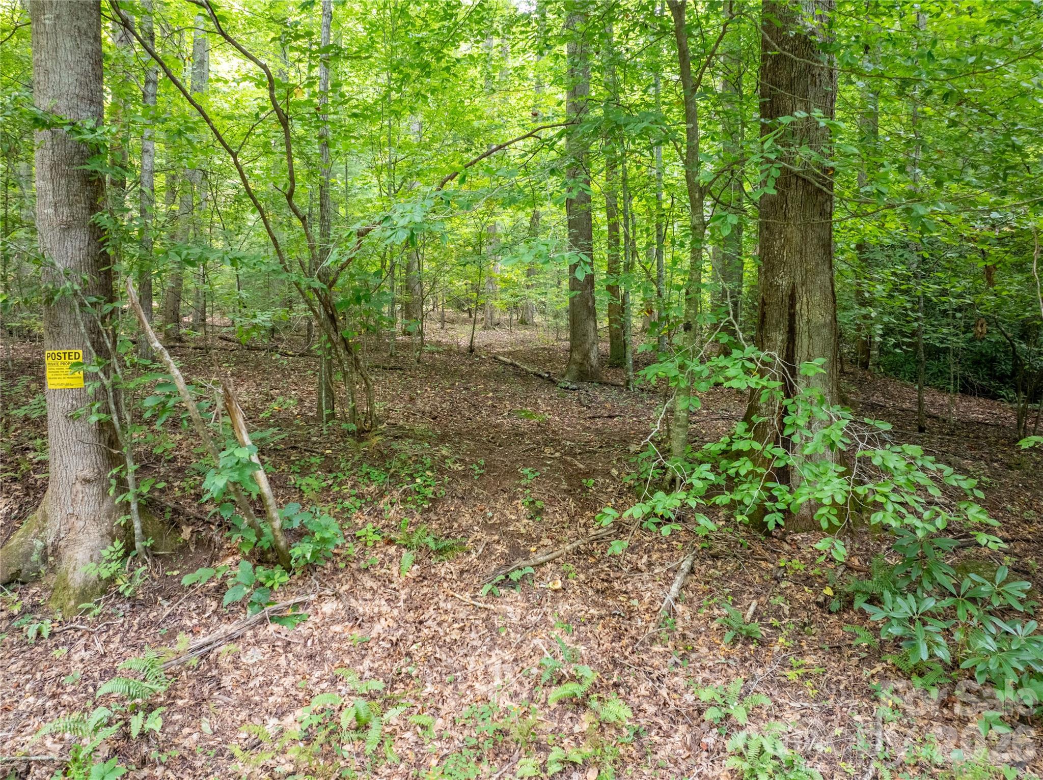 7777 Saw Branch Road Property Photo 15