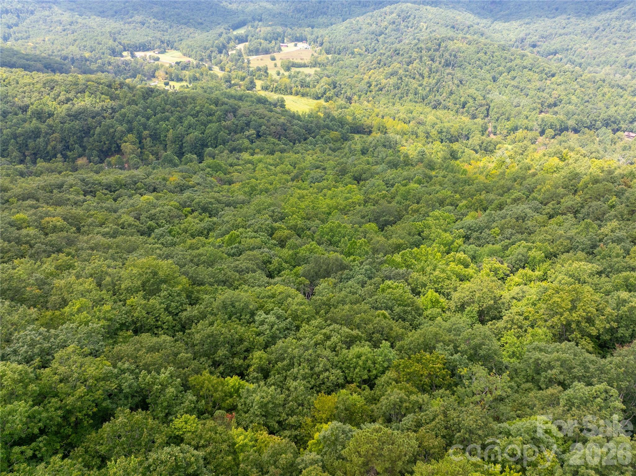 7777 Saw Branch Road Property Photo 16
