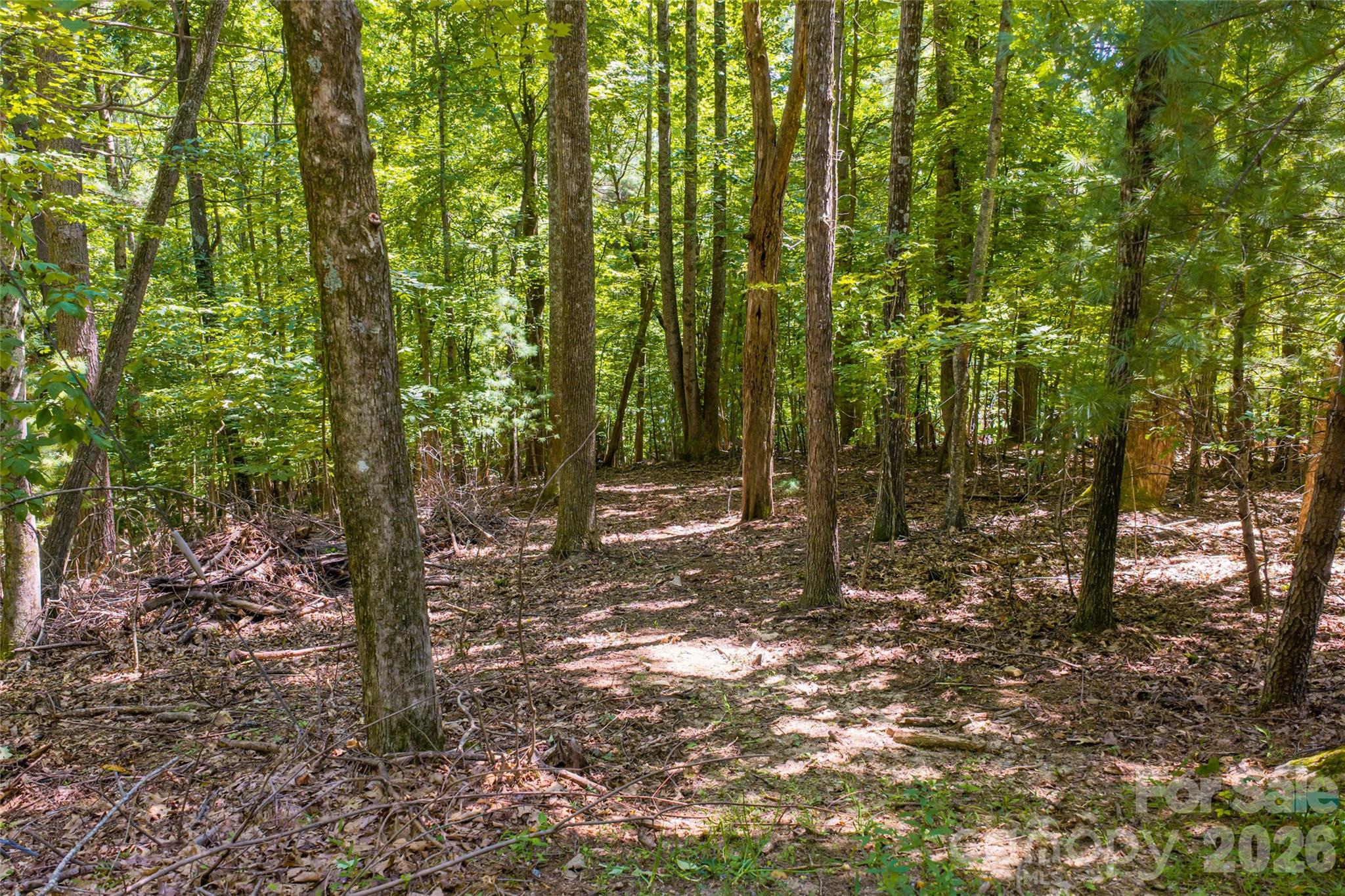 99999 Sabine Drive 2a Property Photo 11