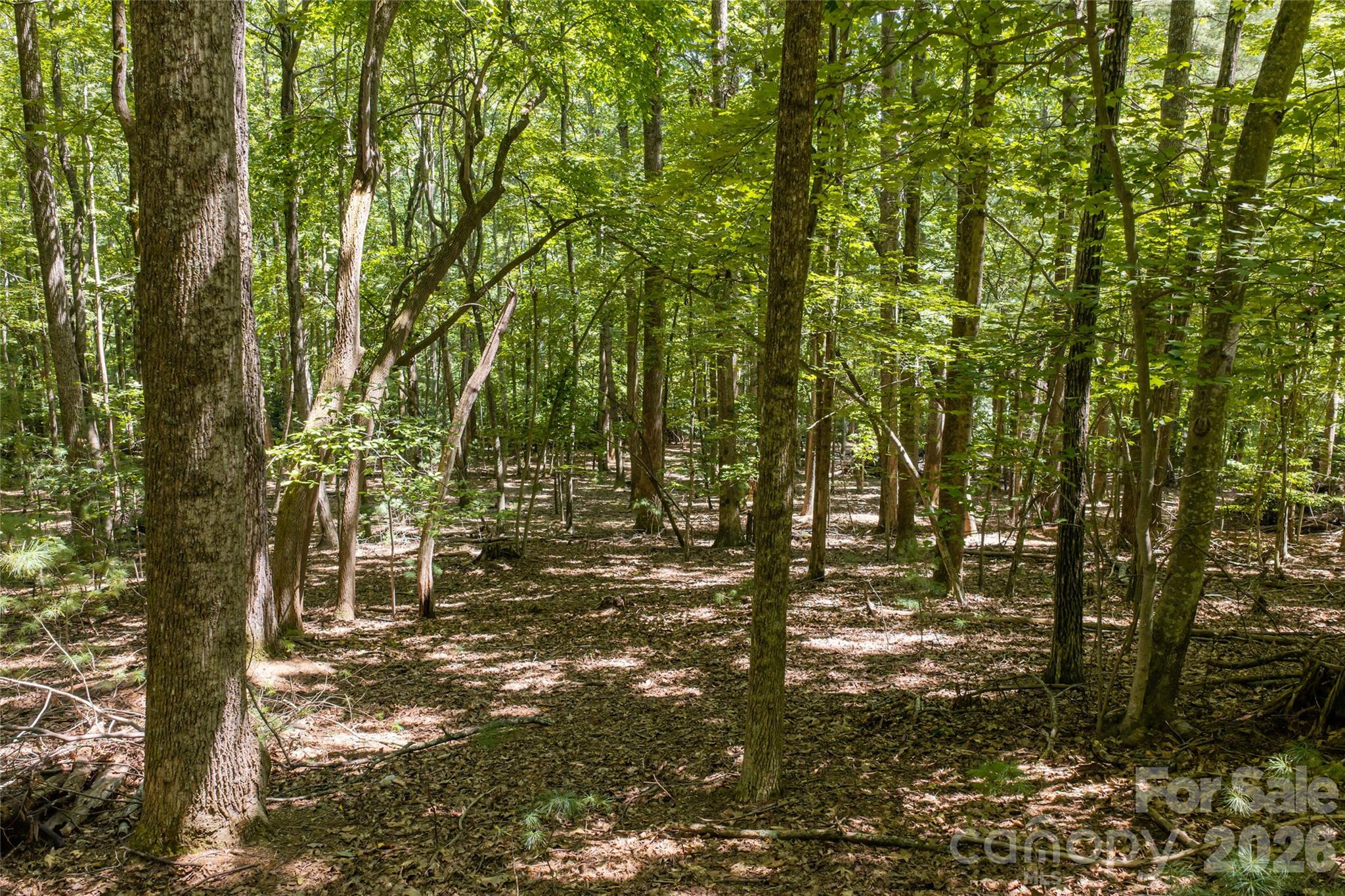 99999 Sabine Drive 2a Property Photo 15