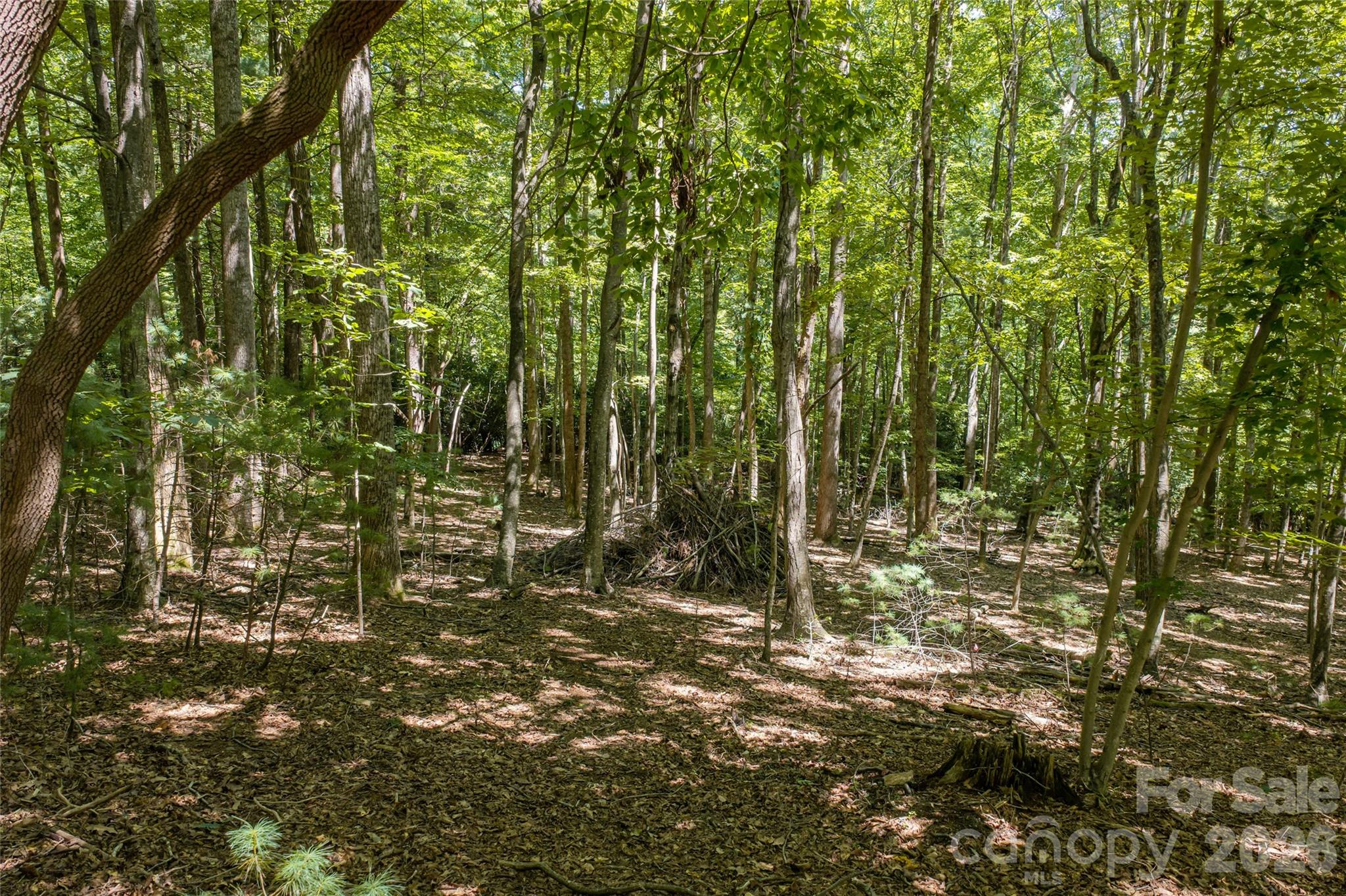 99999 Sabine Drive 2a Property Photo 17