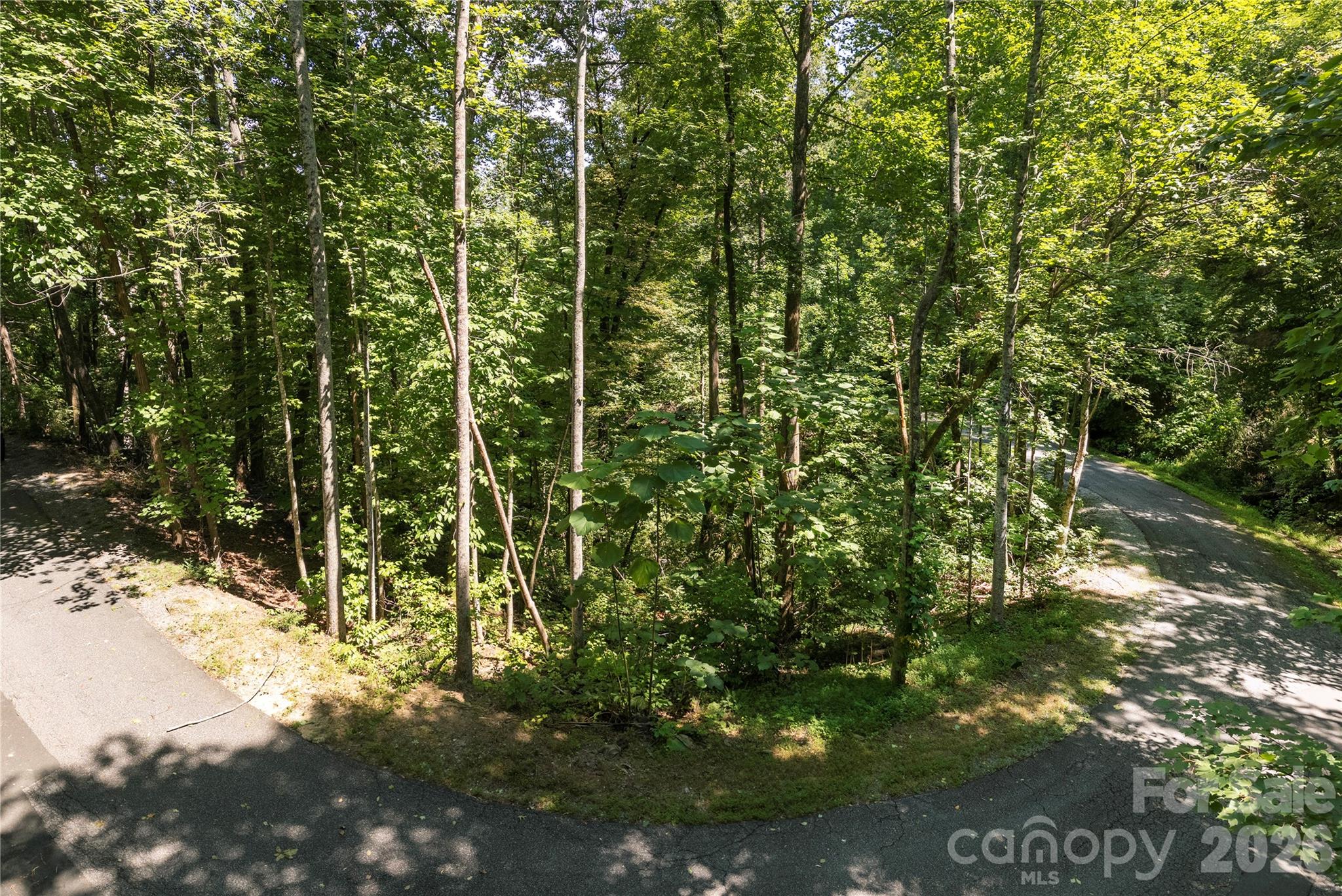 0 Weaver Lane 185 Property Photo 2
