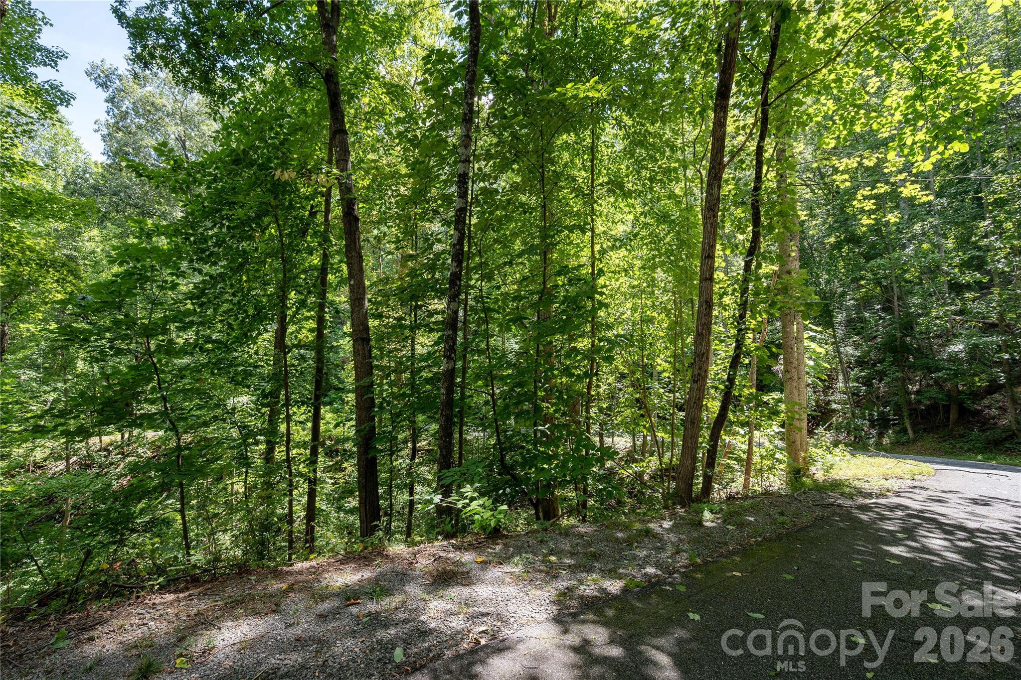 0 Weaver Lane 185 Property Photo 6