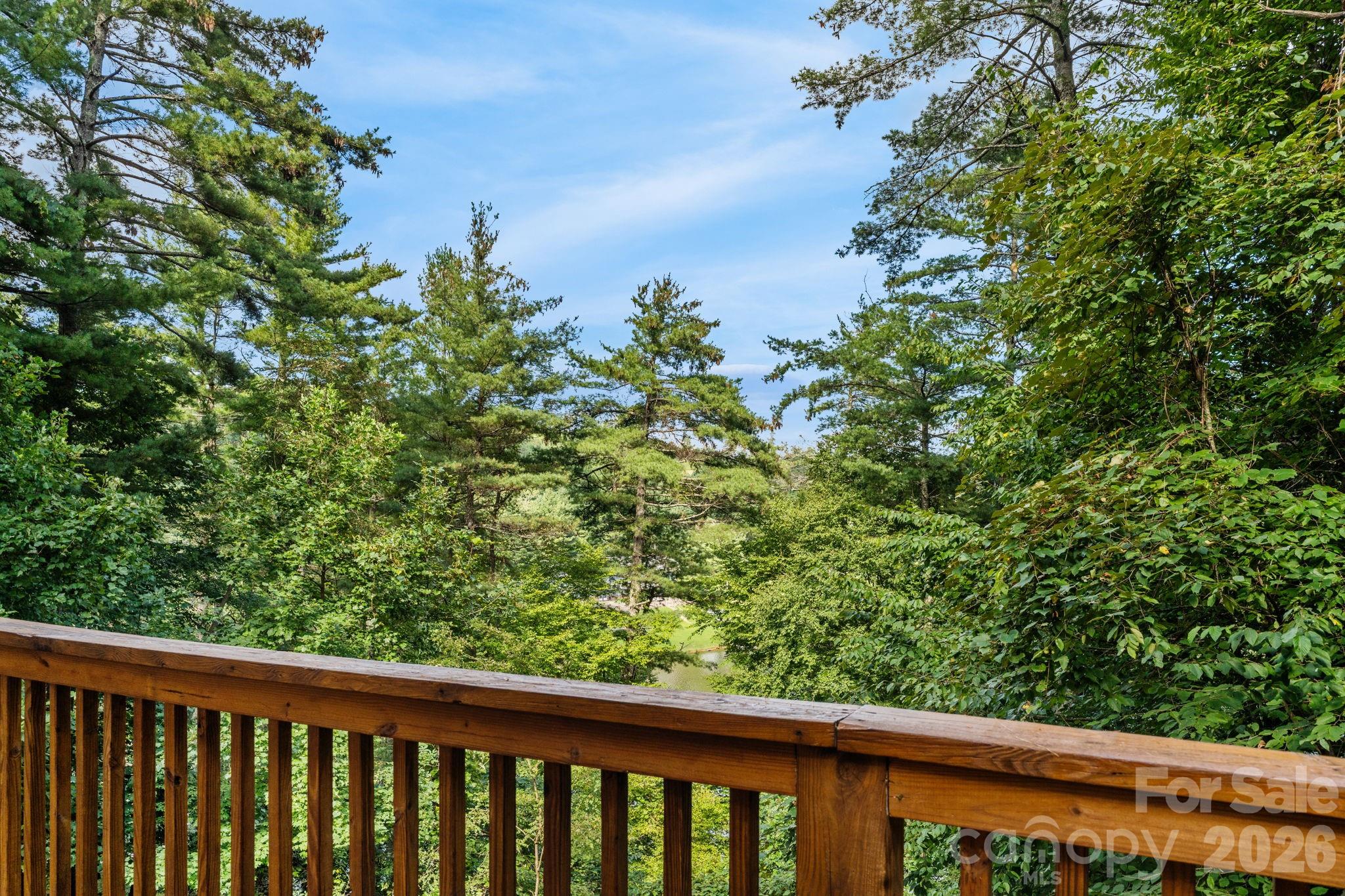162 Springtime Lane Property Photo 15