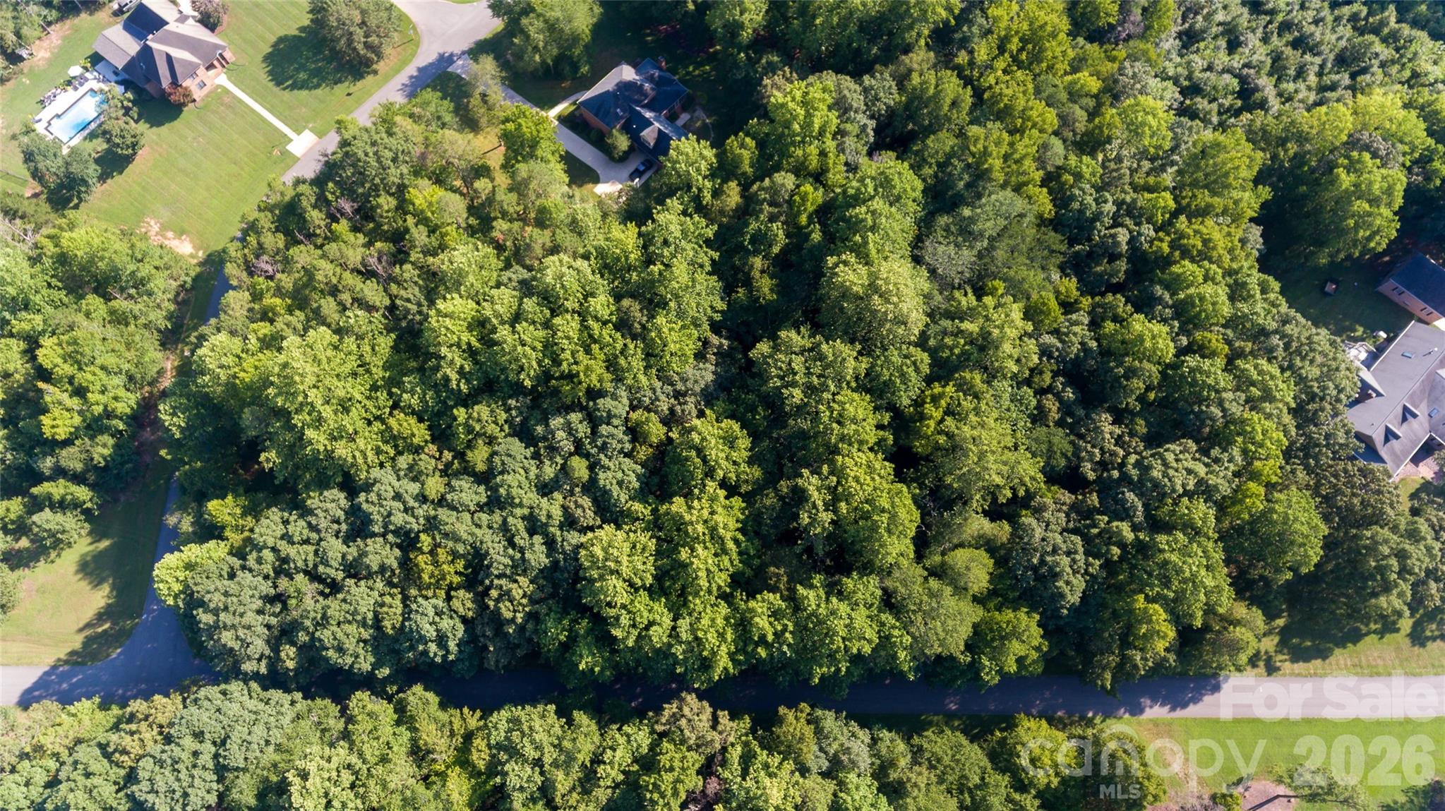 119 Lucky Strike Drive Property Photo 4