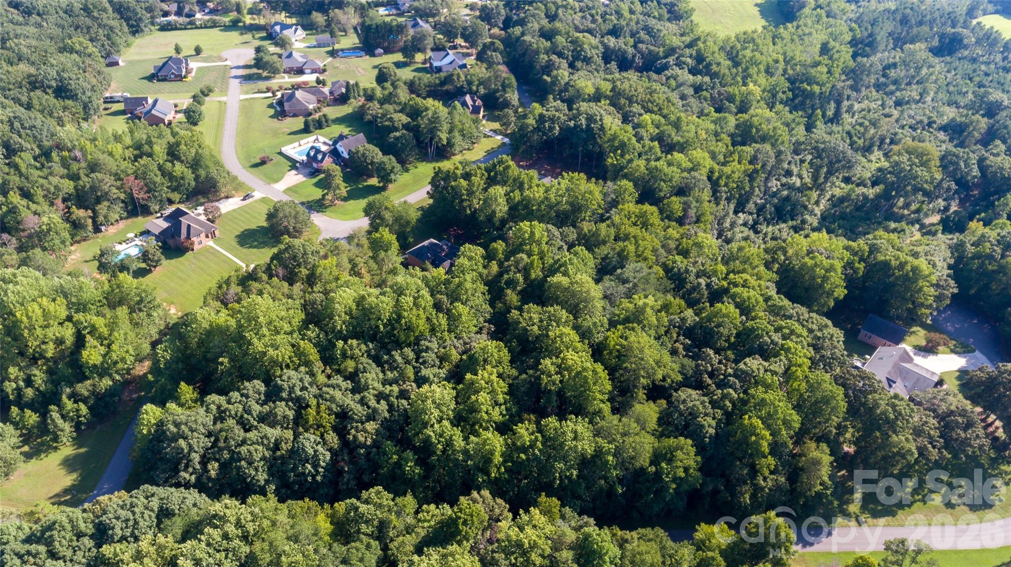 119 Lucky Strike Drive Property Photo 8
