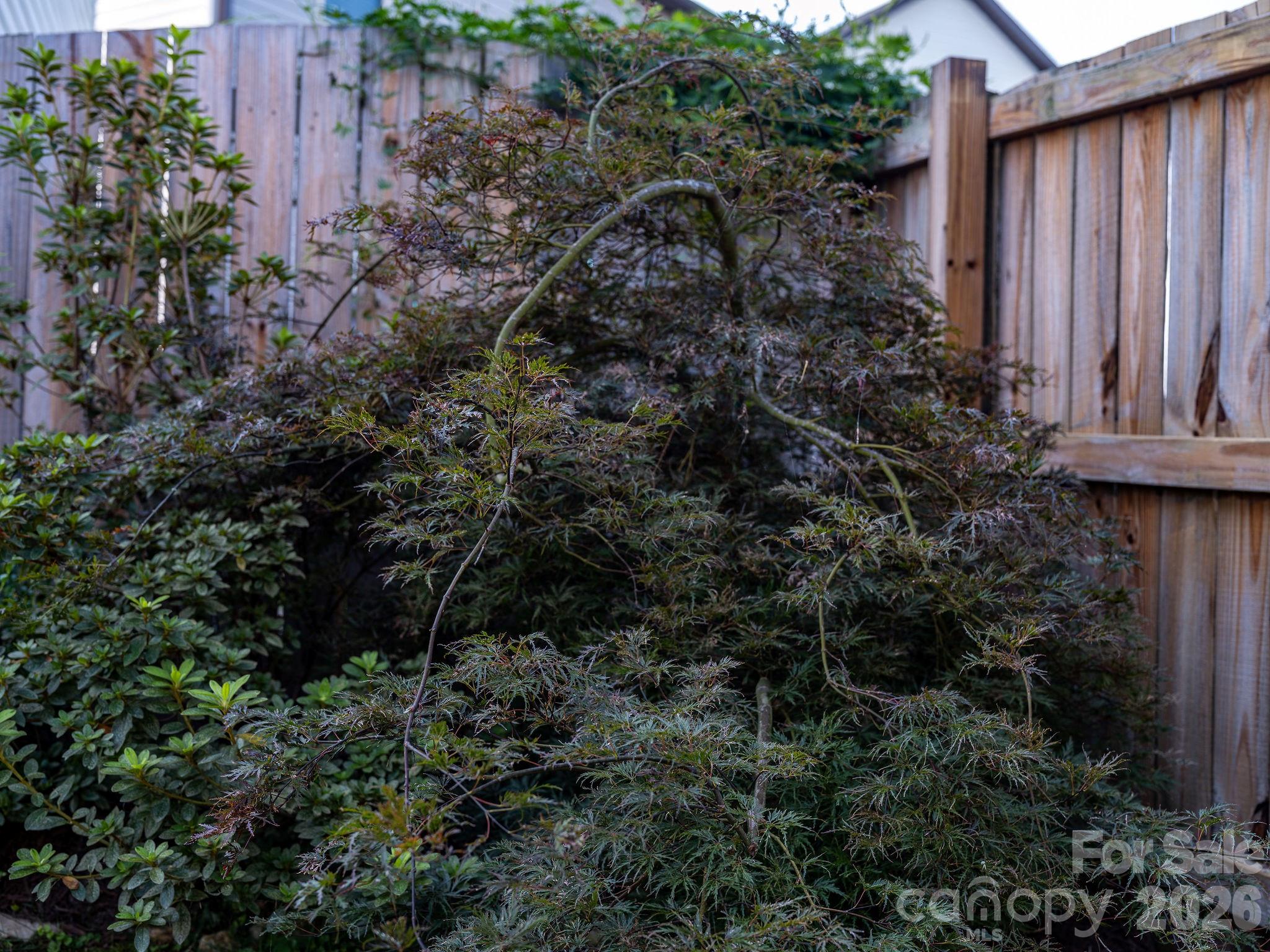 738 Cardwell Lane Property Photo 31