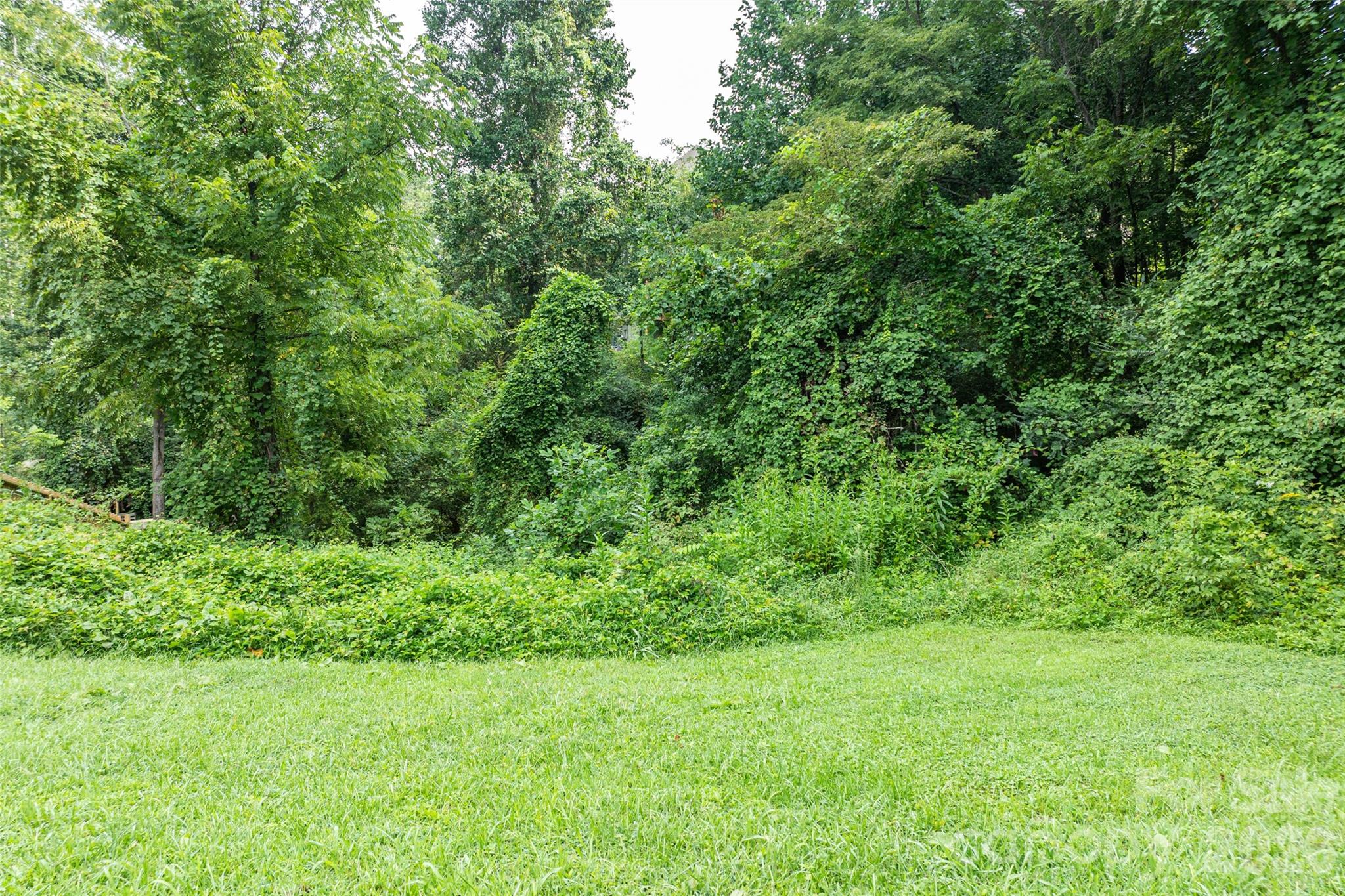 751 Brevard Road Property Photo 10