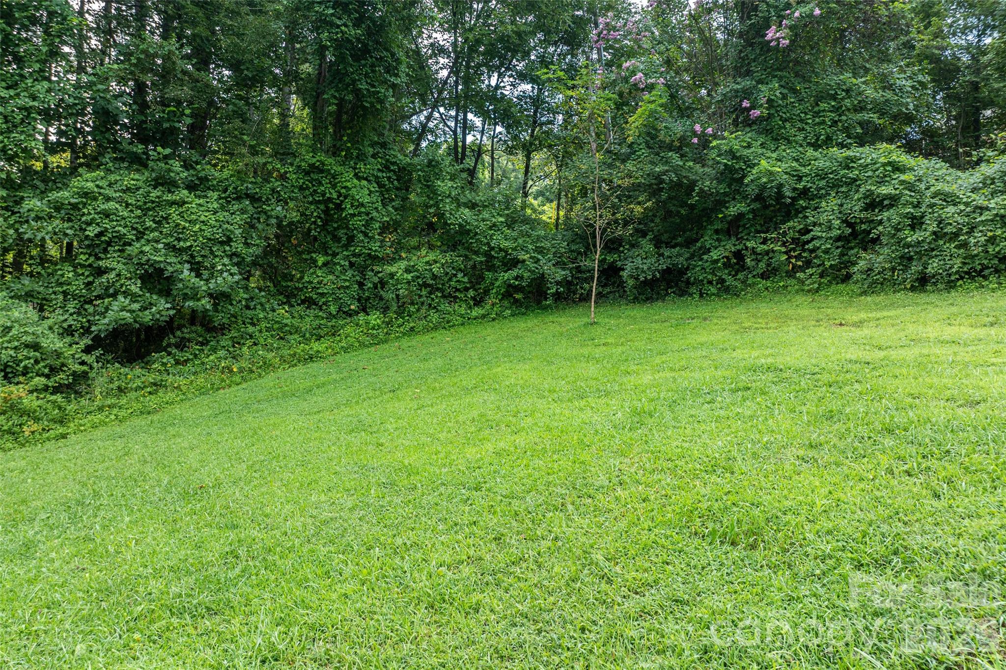 751 Brevard Road Property Photo 12