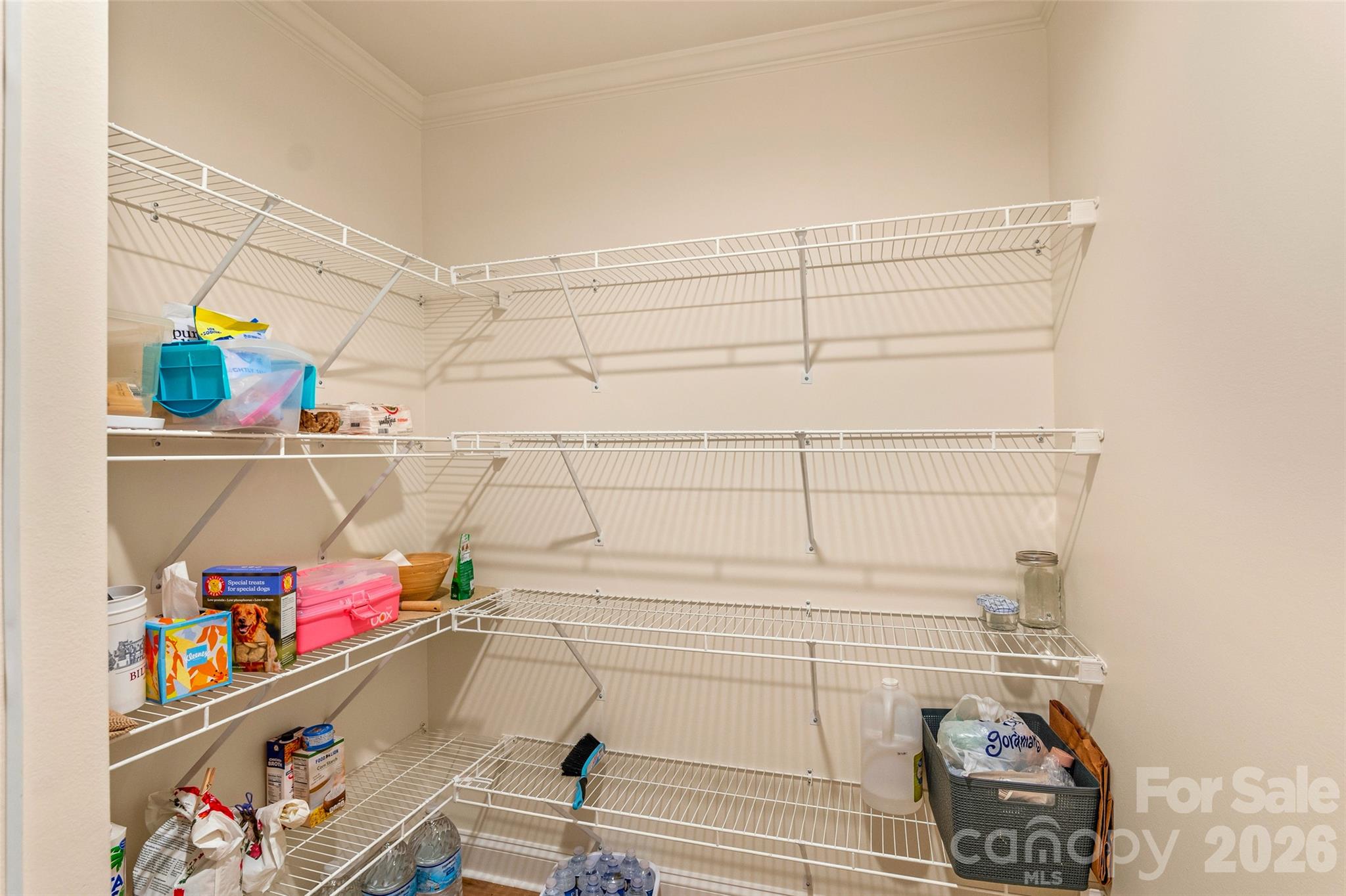 60 Spring Mountain Drive Property Photo 21