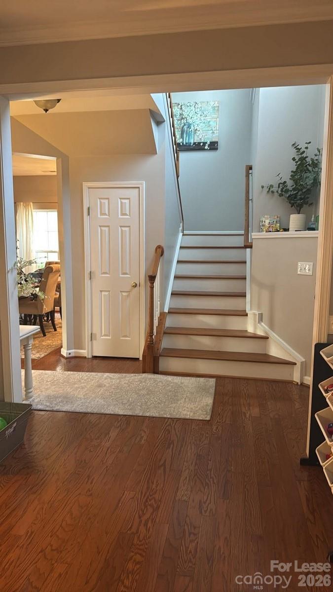 11729 Royal Castle Court Property Photo 16
