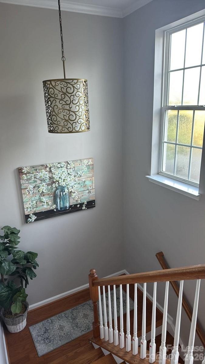 11729 Royal Castle Court Property Photo 17