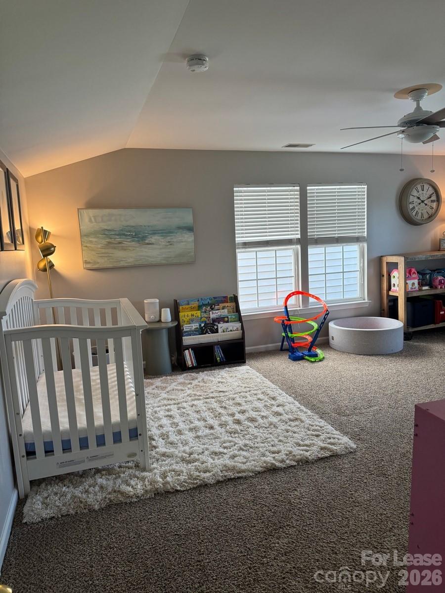 11729 Royal Castle Court Property Photo 28