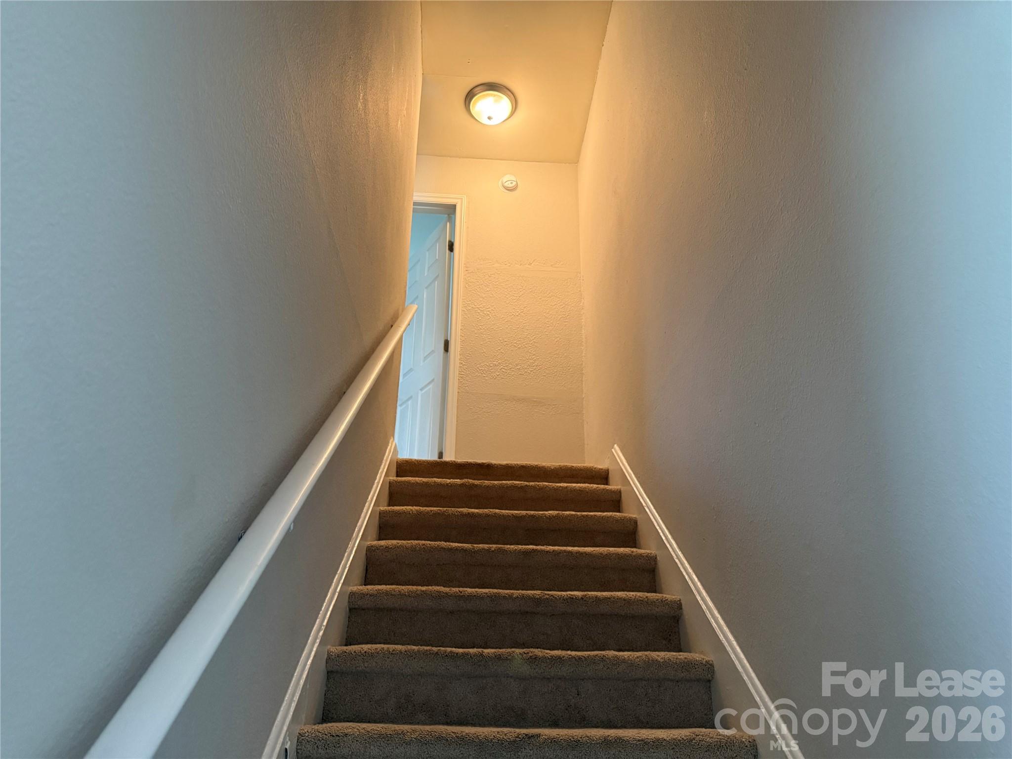900 Junius Street D Property Photo 7