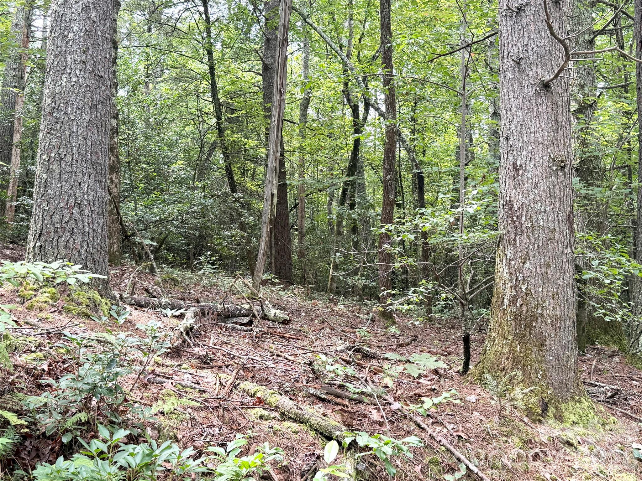 Tbd Nc Hwy 268 Highway 2 Property Photo 9