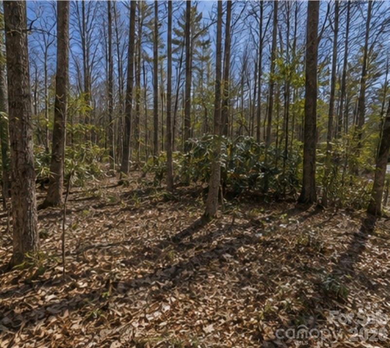 109 W Christy Trail Property Photo 1