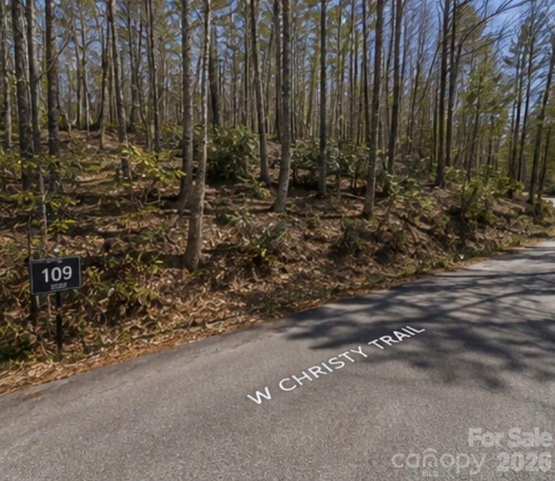 109 W Christy Trail Property Photo 2