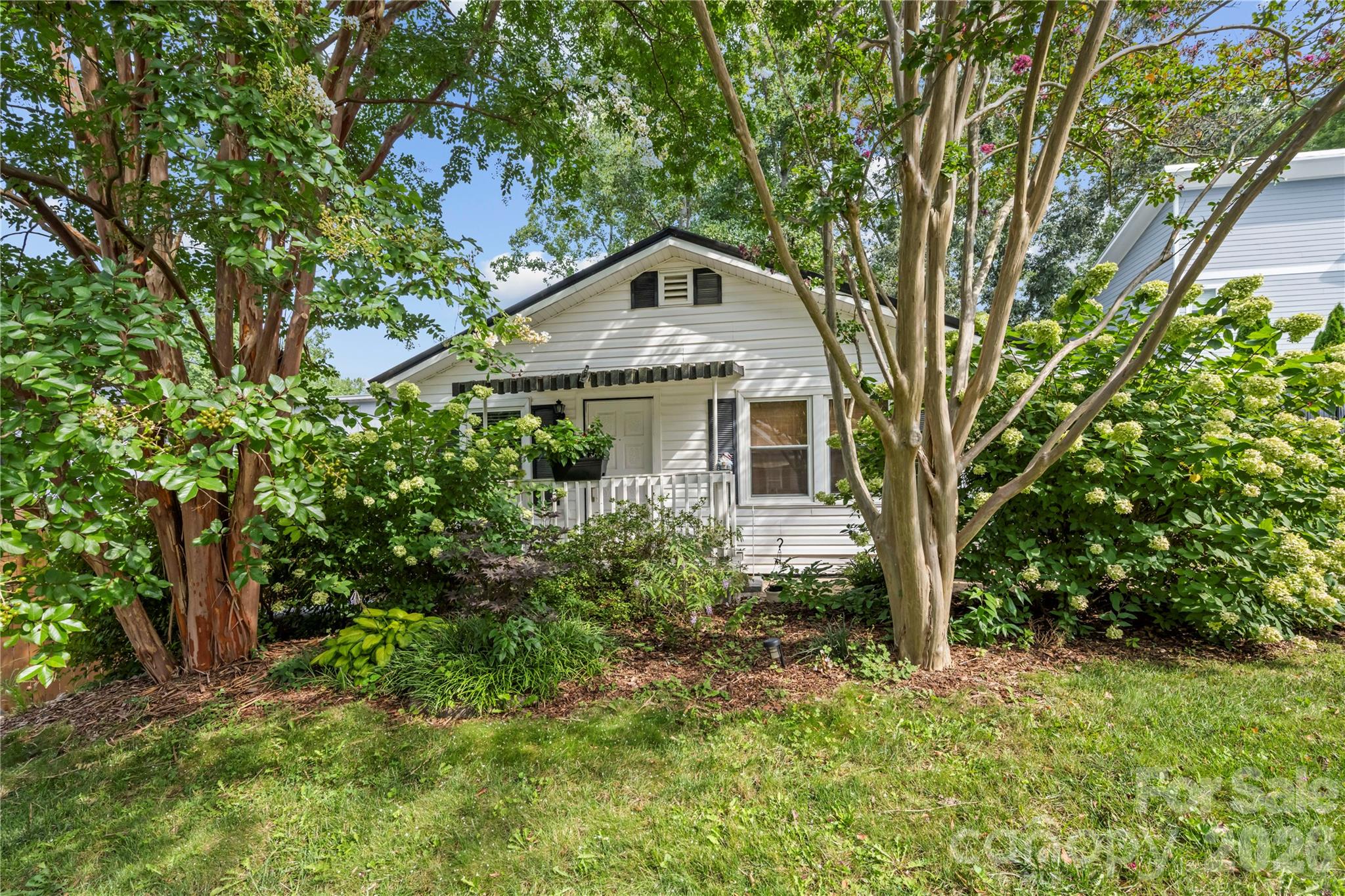 2 Bostic Place Property Photo 2