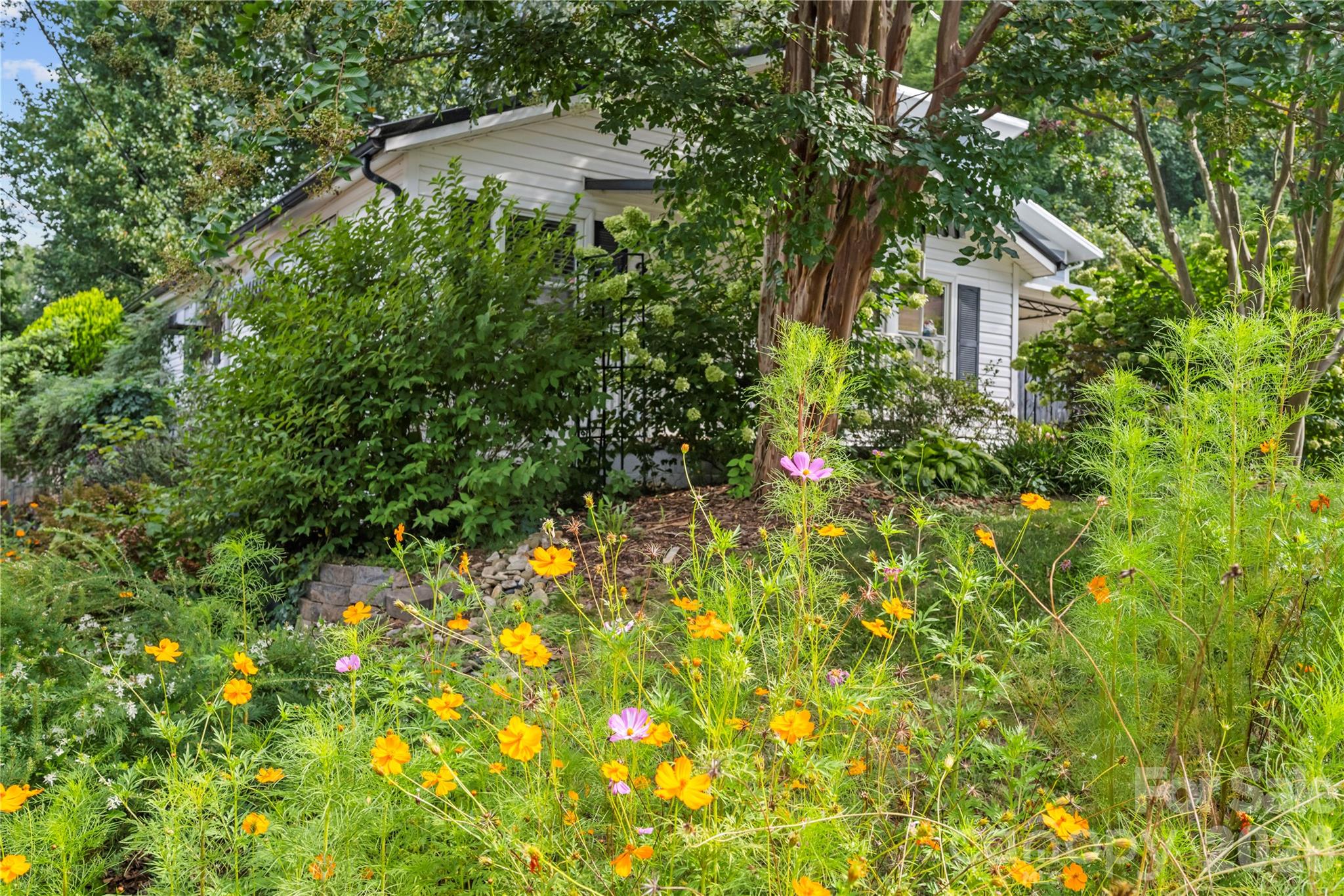 2 Bostic Place Property Photo 25