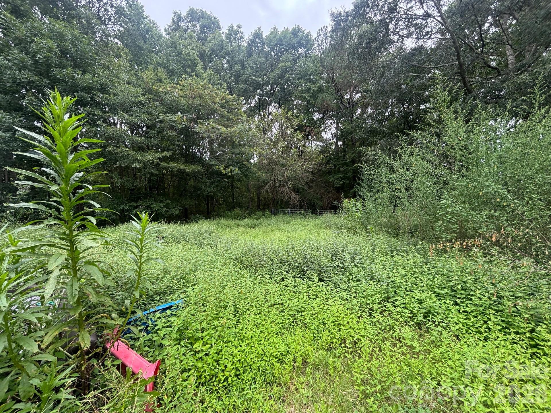 231 Deaton Road Property Photo 31