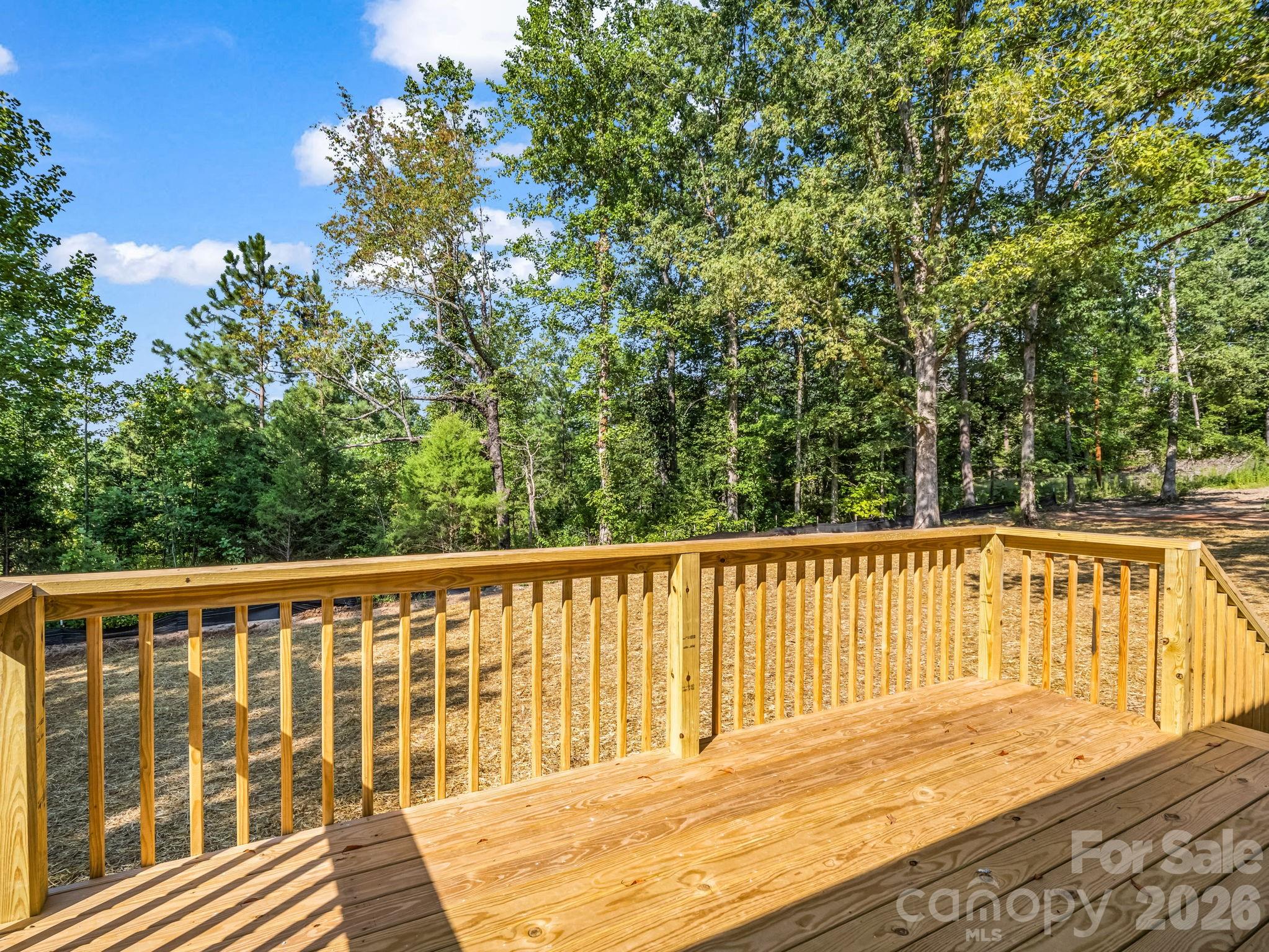 339 Bobby Mckinney Road Property Photo 17