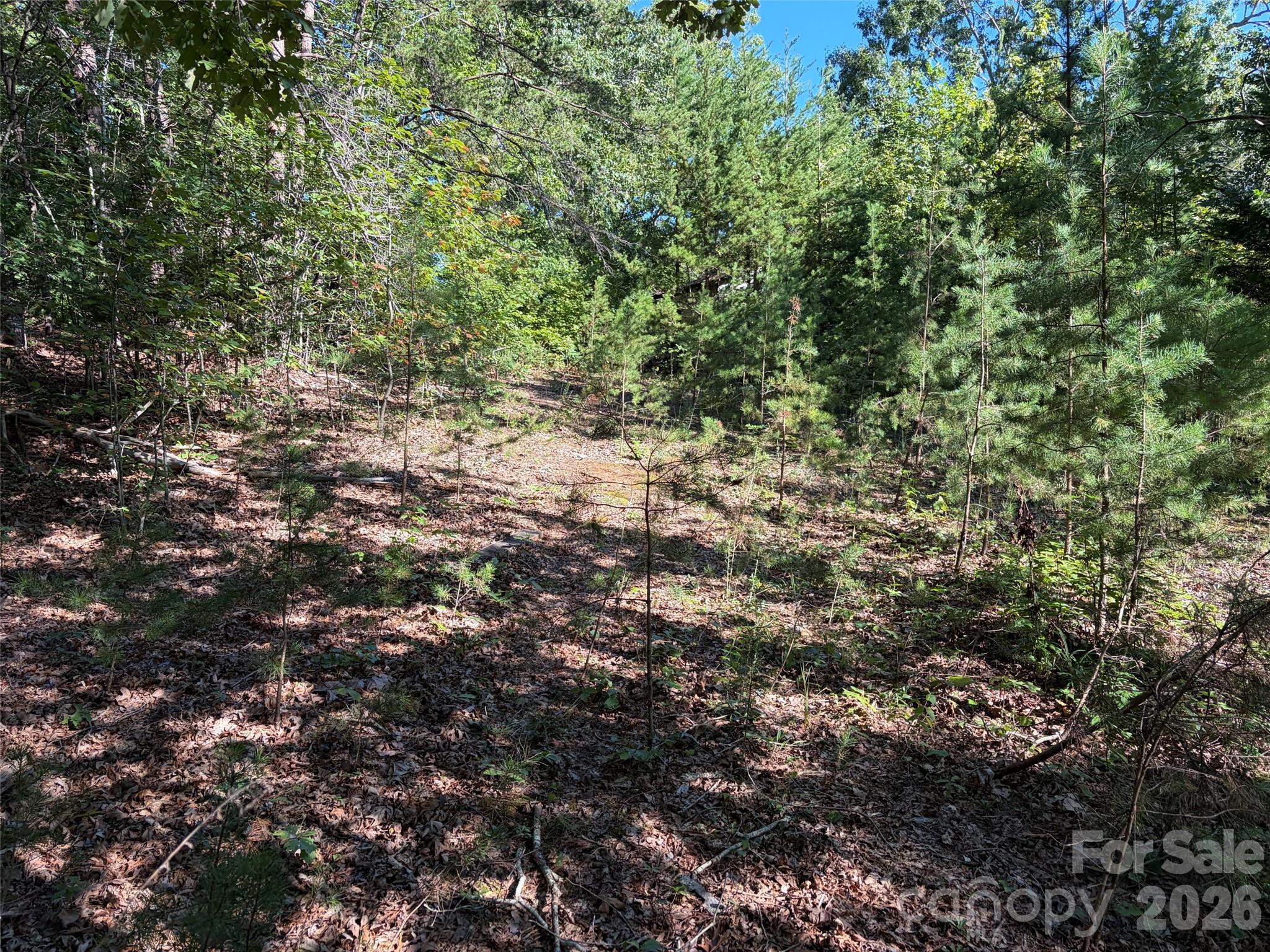 6197 Fox Gap Street Property Photo 21