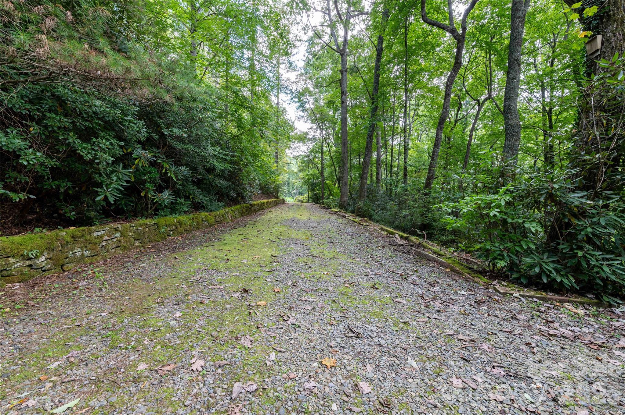 479 Big Ridge Road Property Photo 40
