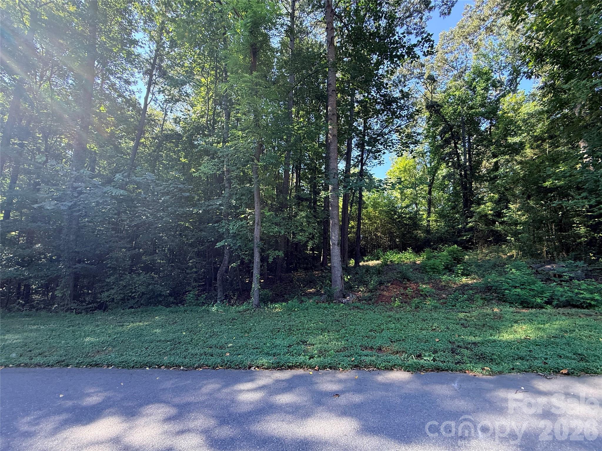 8079 Altacrest Drive Property Photo 3