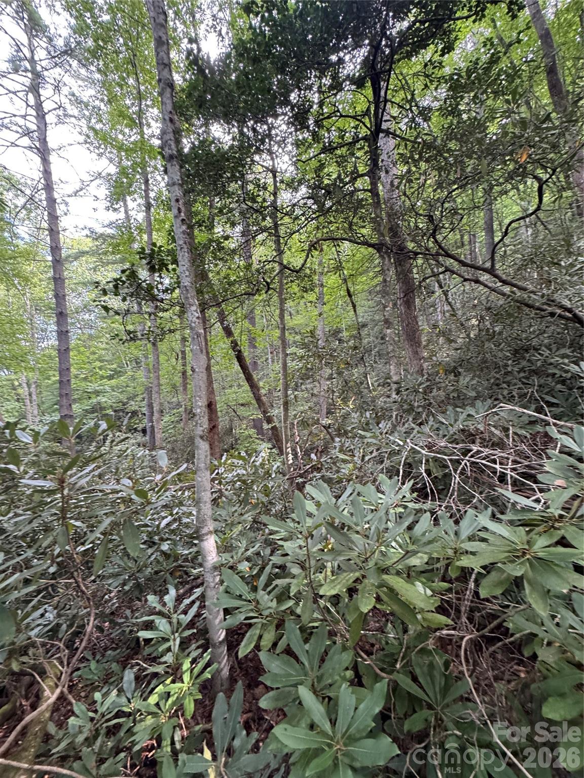 000 Wilson Road Property Photo 27