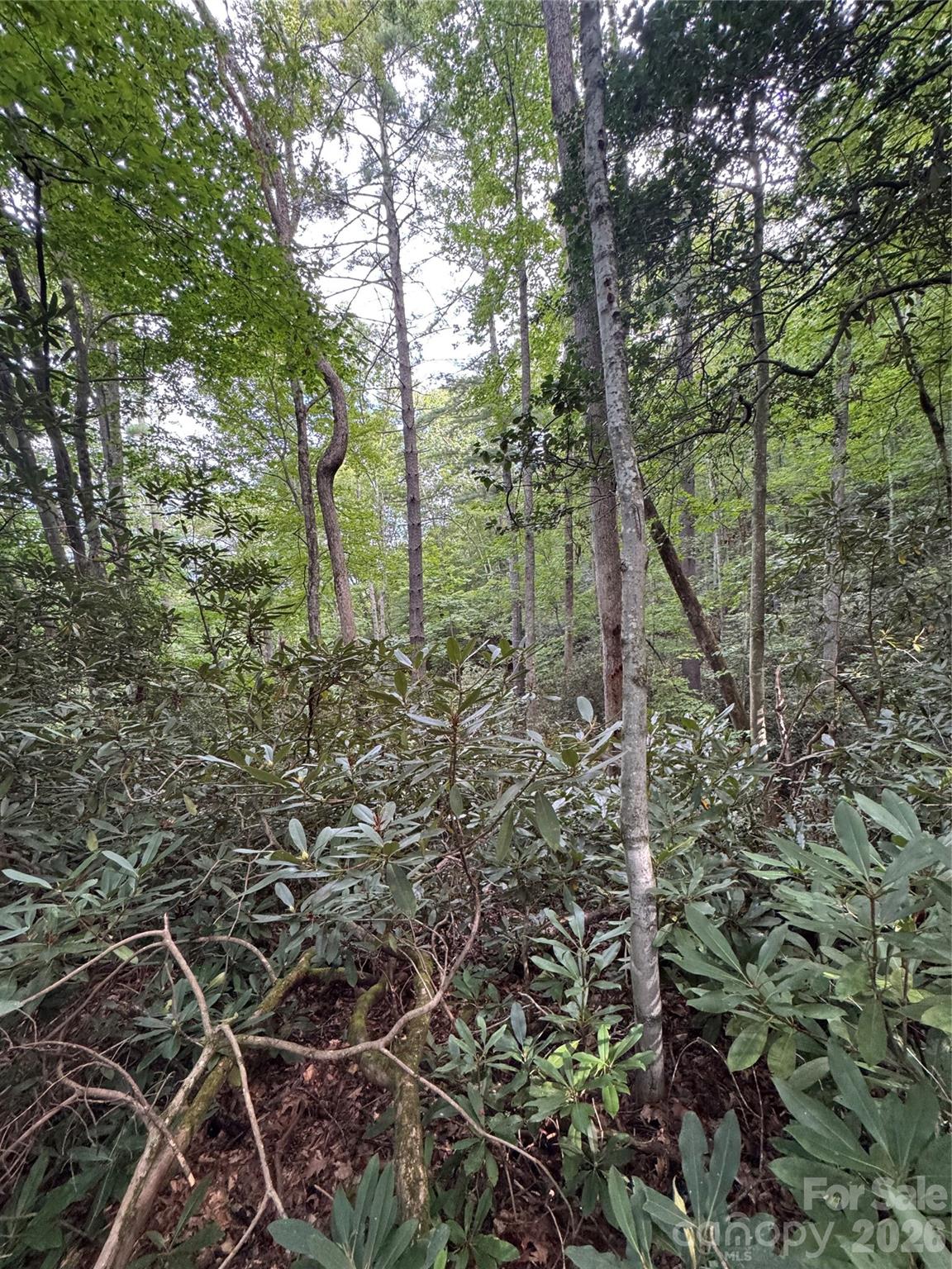 000 Wilson Road Property Photo 29